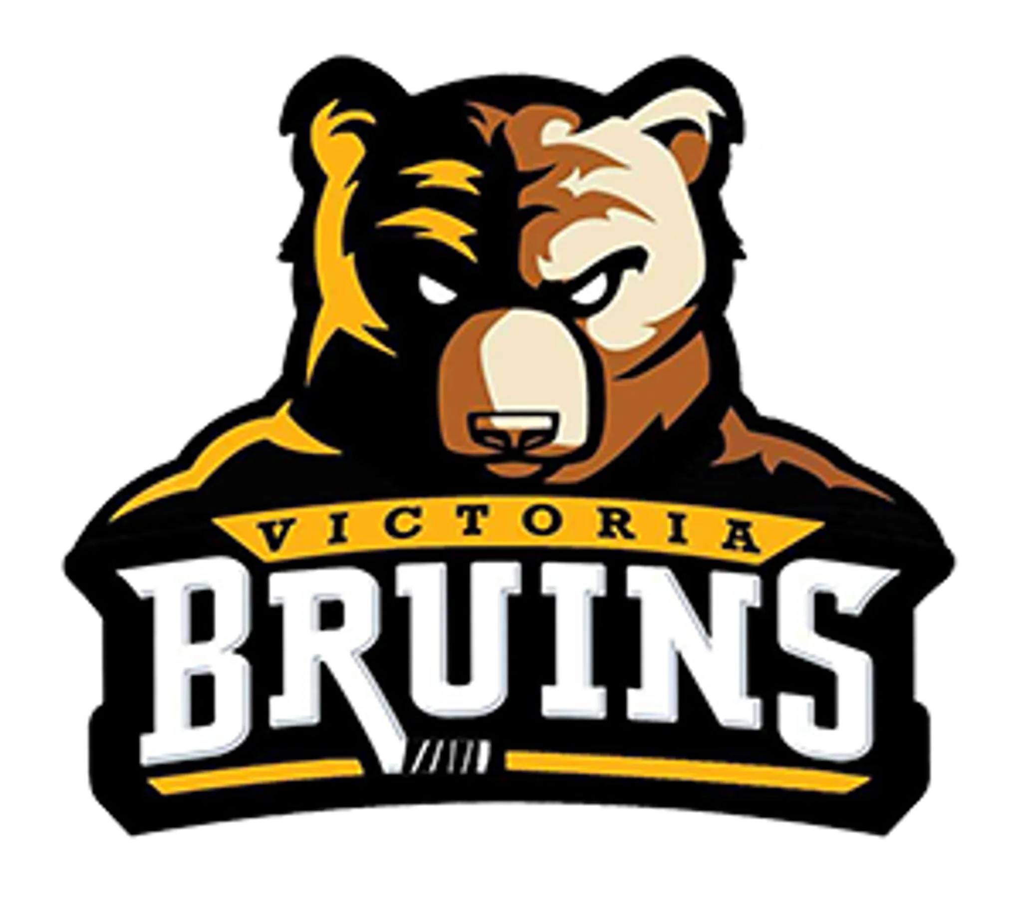 Vancouver Island Ball Hockey League