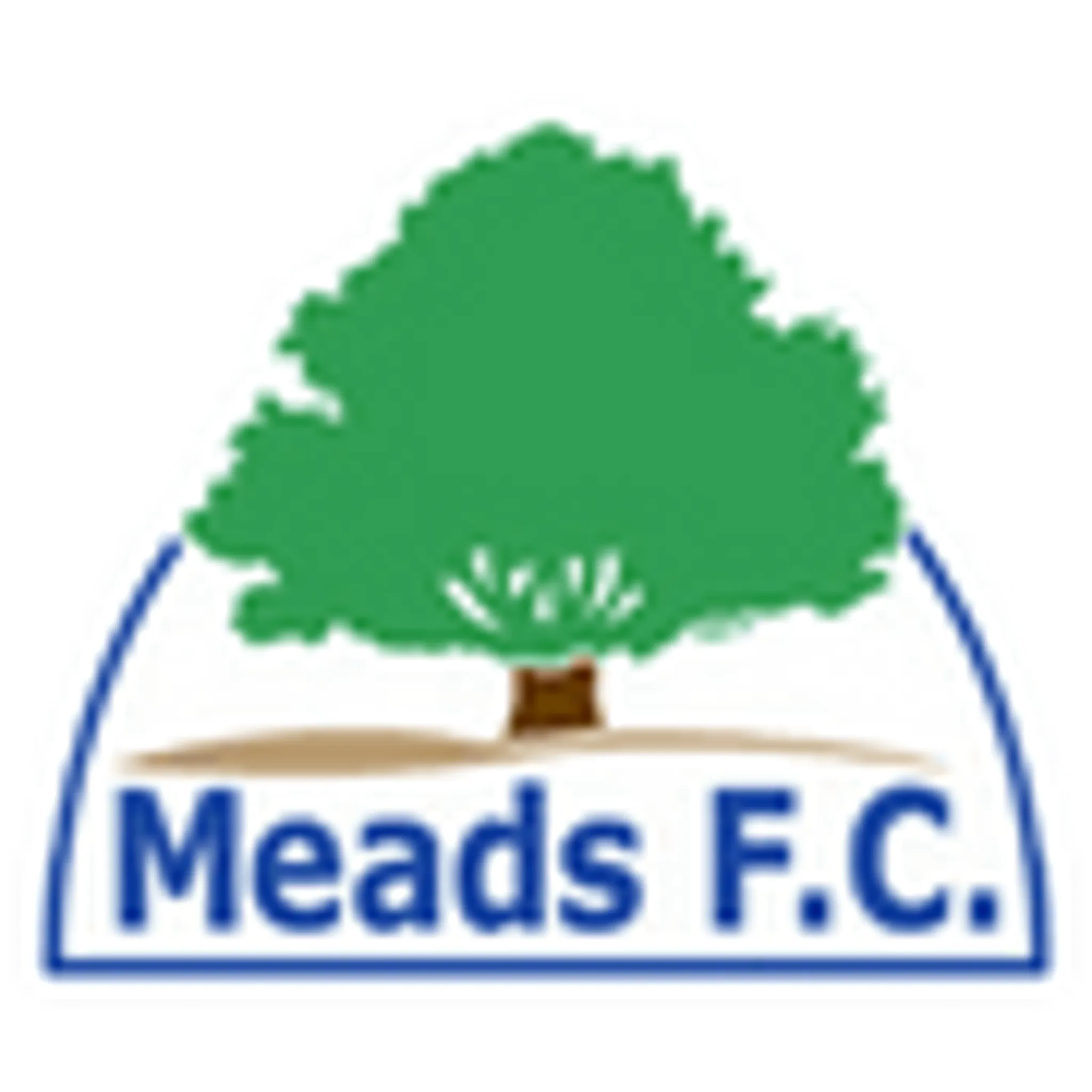 East Grinstead Meads FC