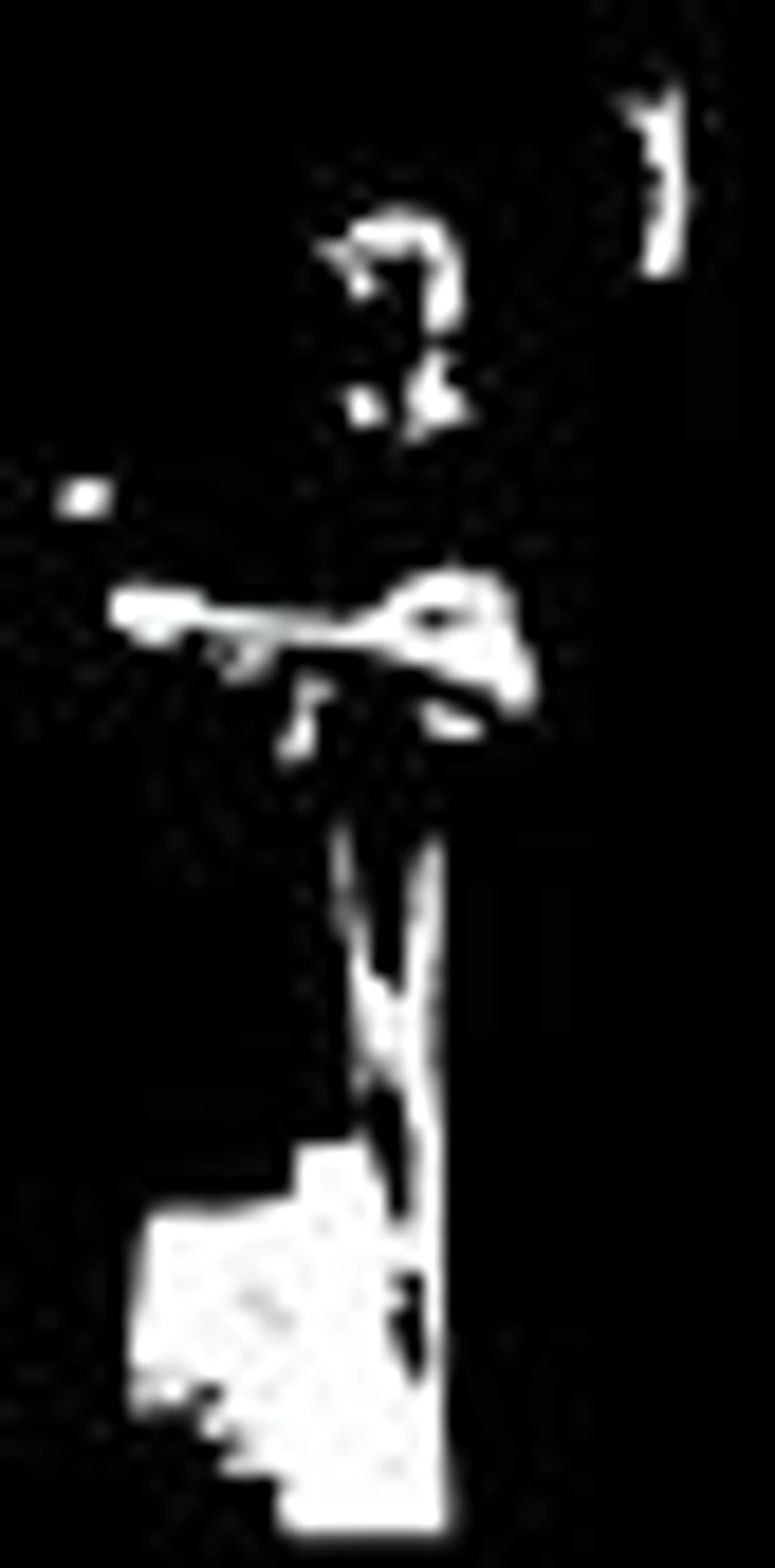 Volle Ravel Geneviève