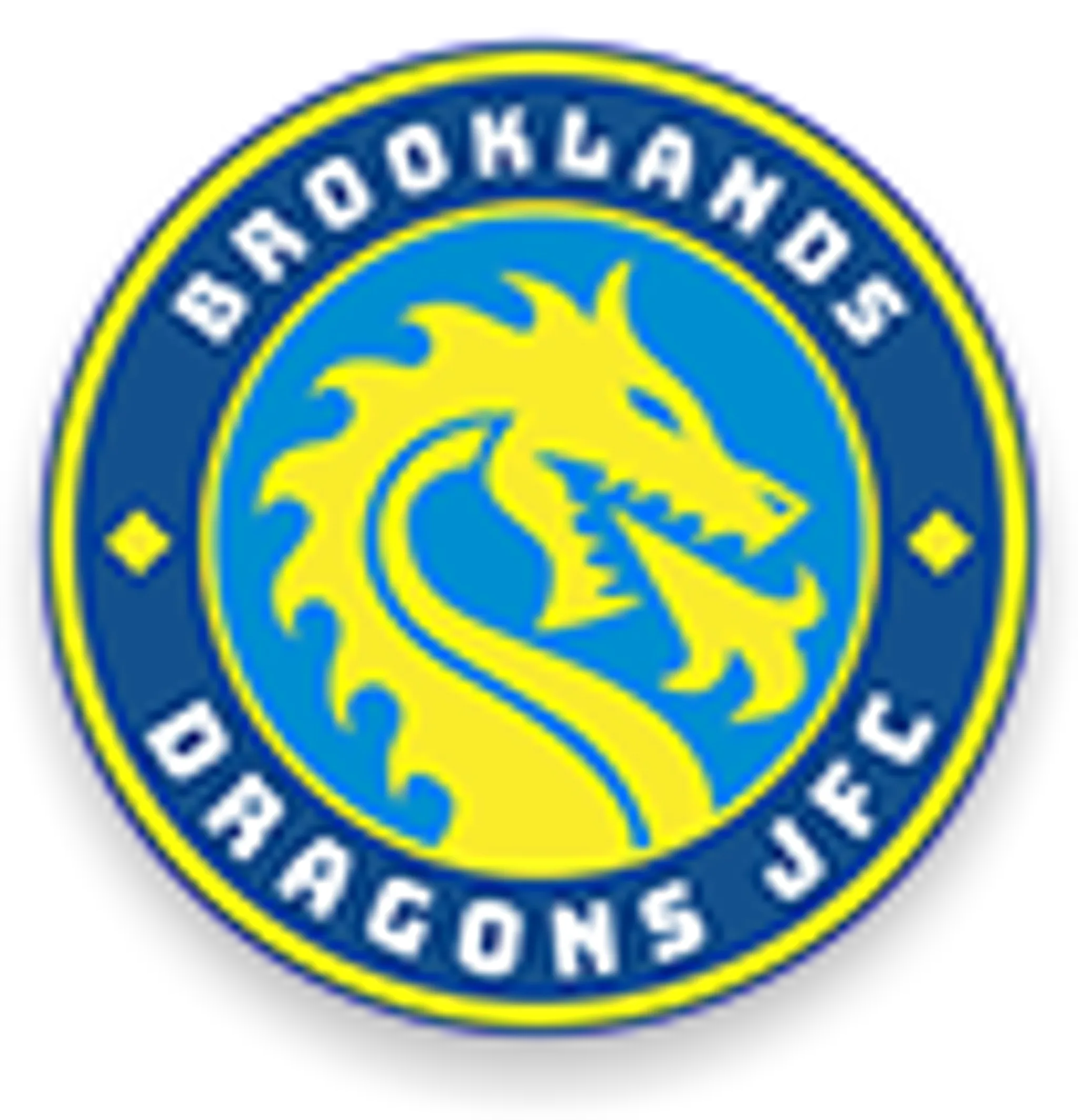 Brooklands Dragons JFC - Sale