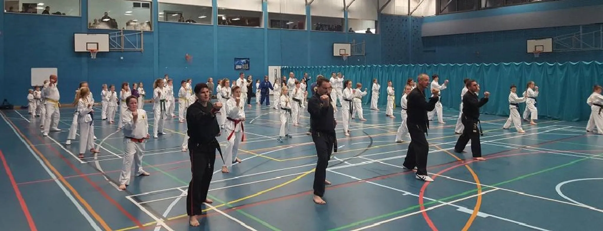 Malvern Tae Kwon Do Academy