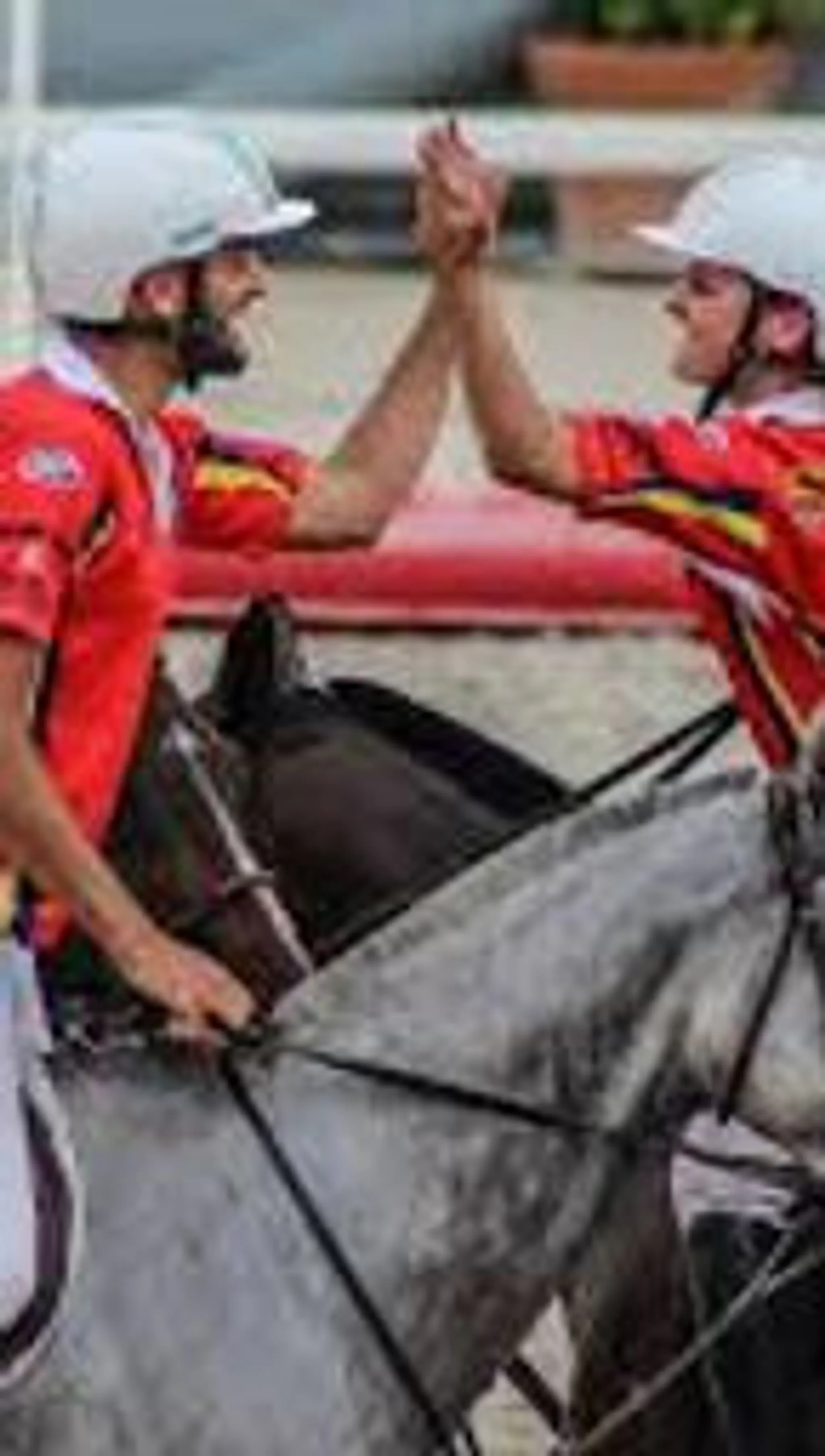 Parc D'aventures À Cheval
