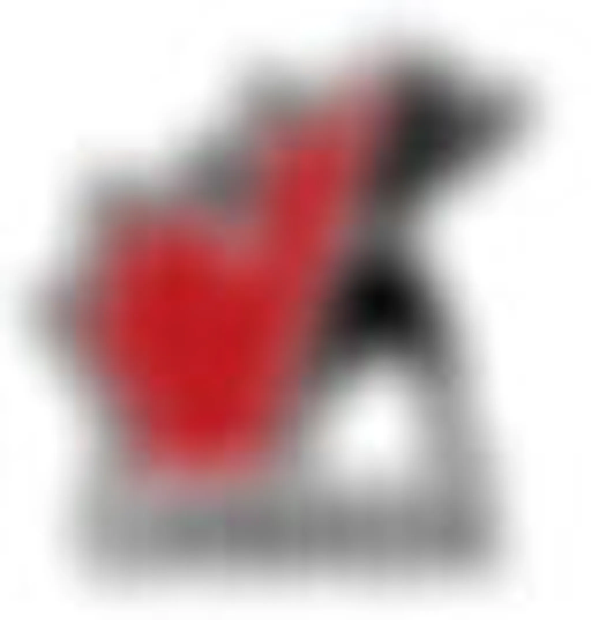 Comodus Boxing Club Ltd