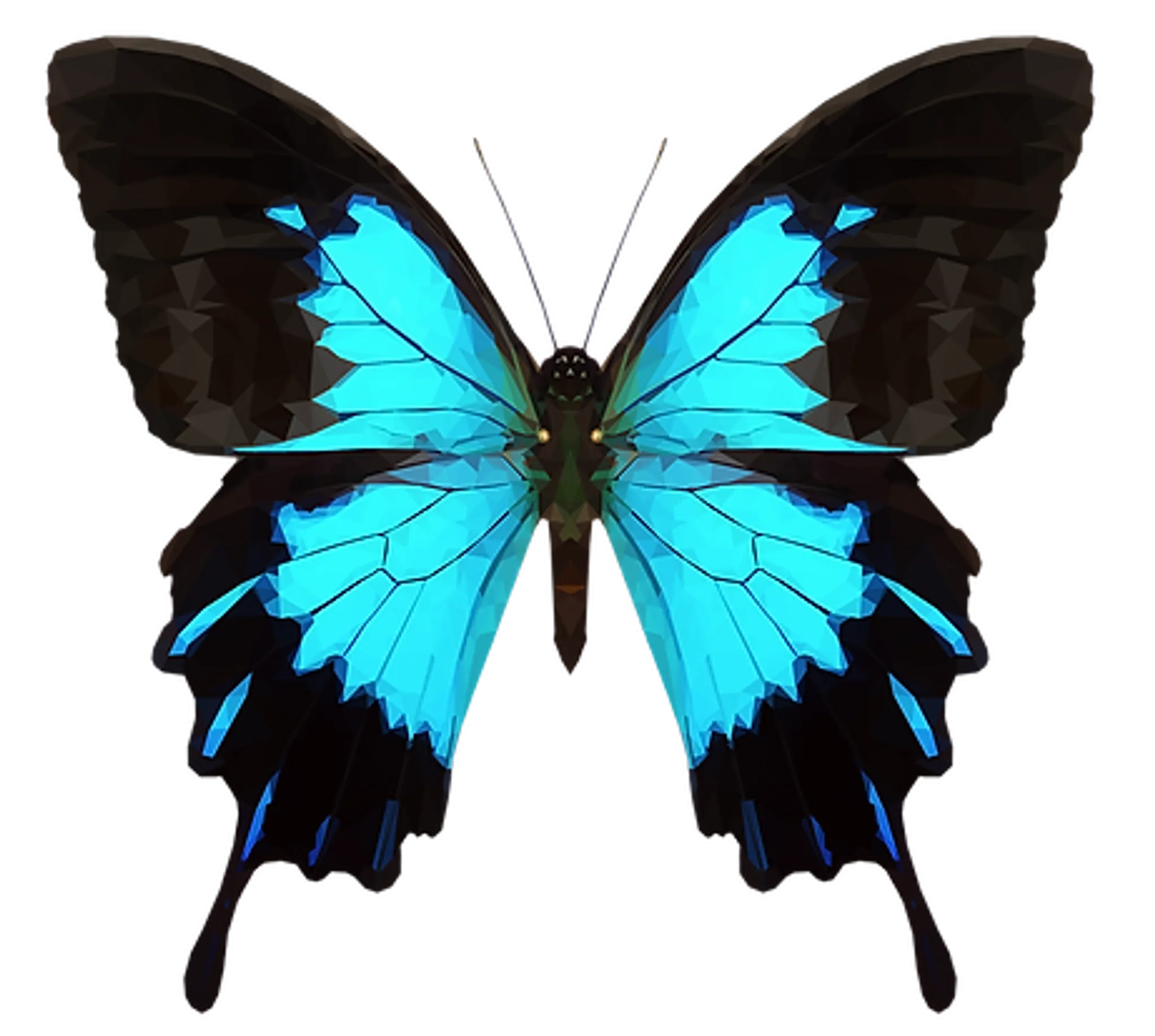 Endeavour River Escape