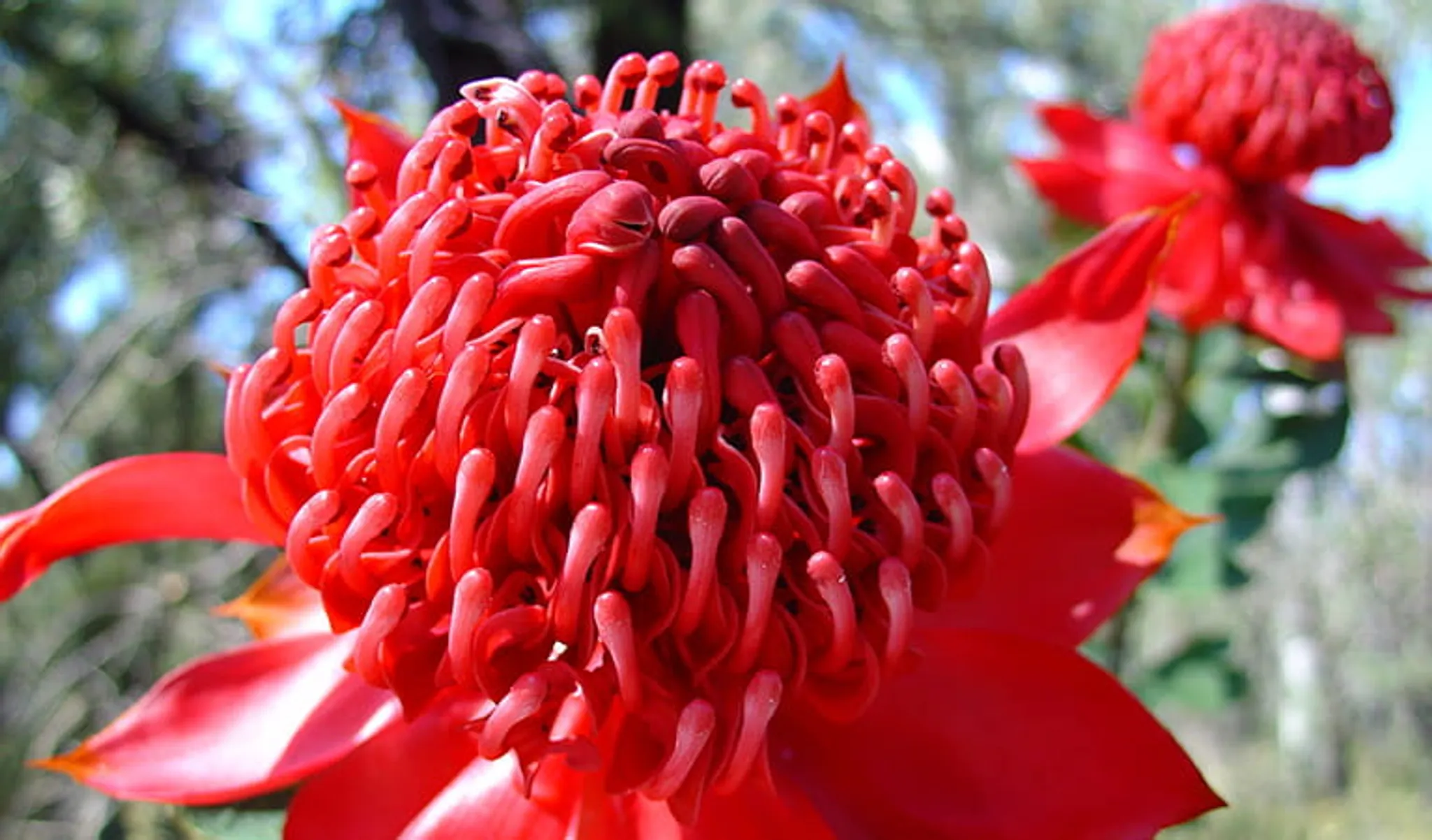 Livingstone multi-use track