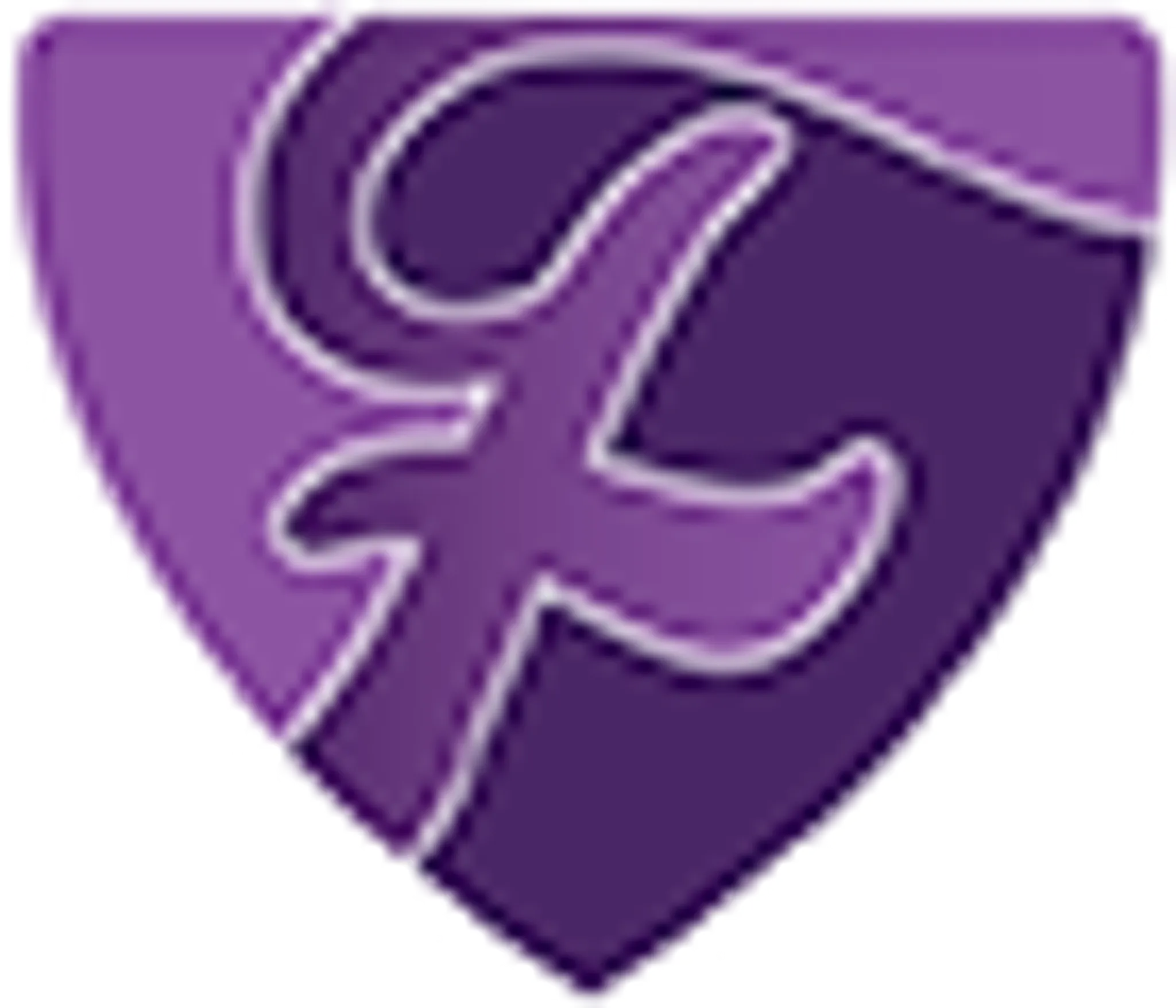 Finesse Football Academy