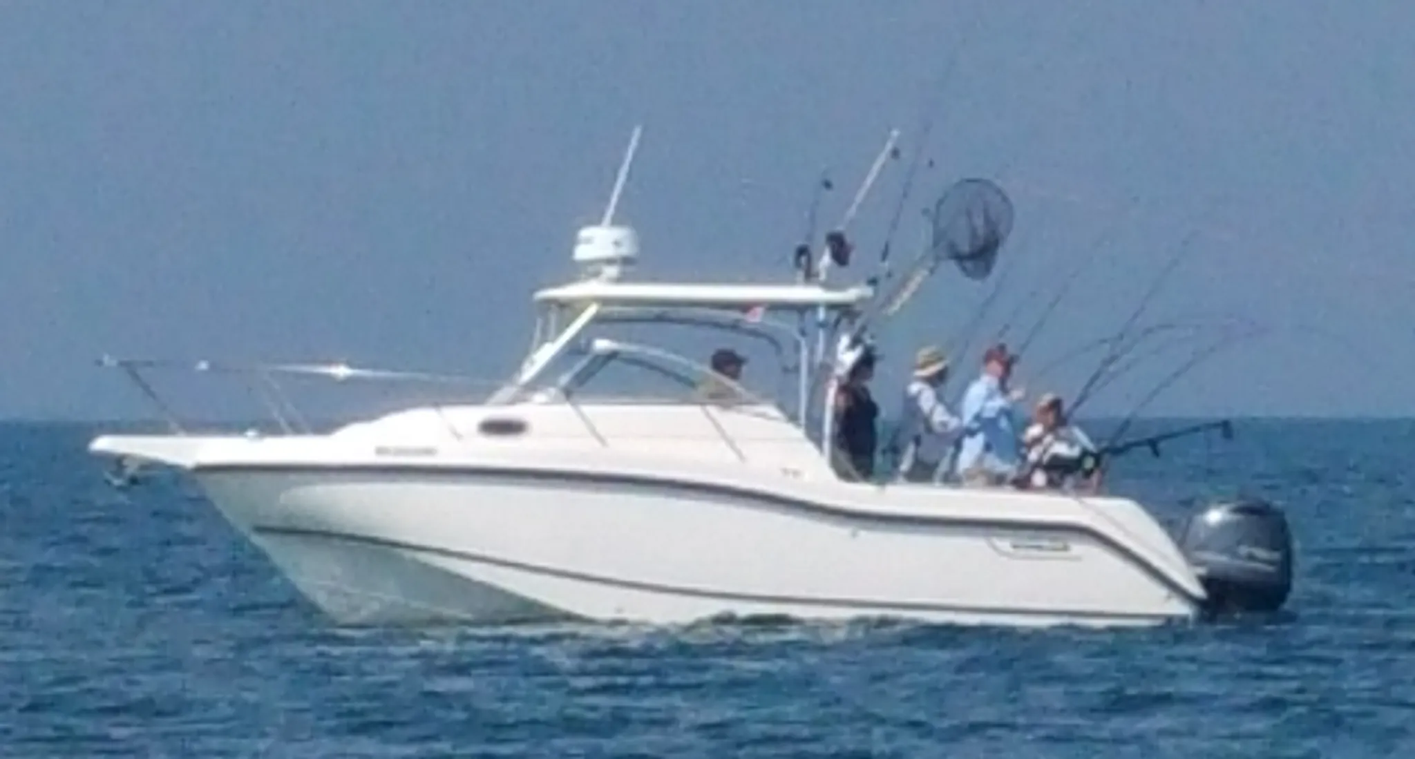 South Coast Fishing Charters
