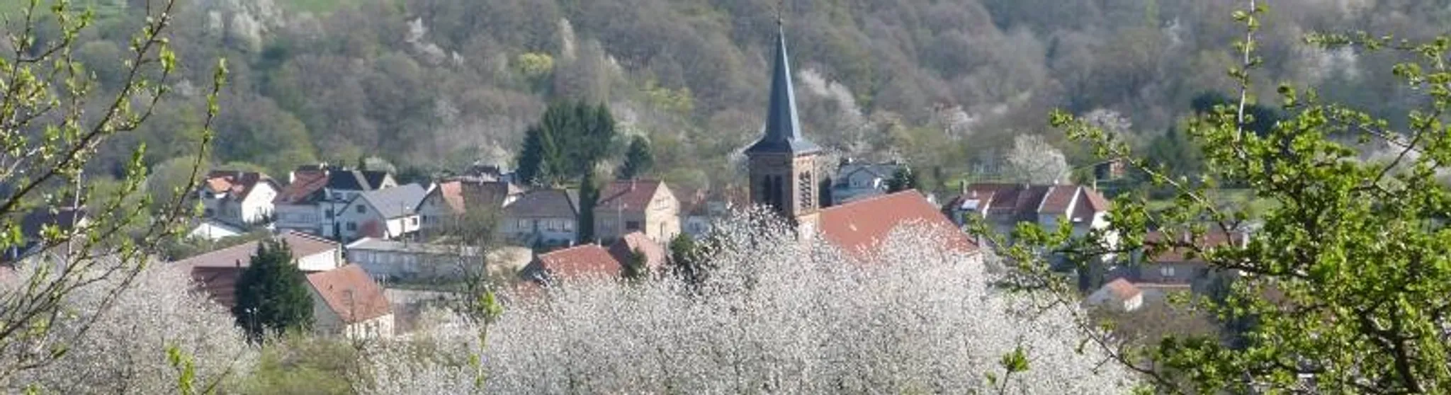 ASSOCIATION DES CAVALIERS D'ALSTING
