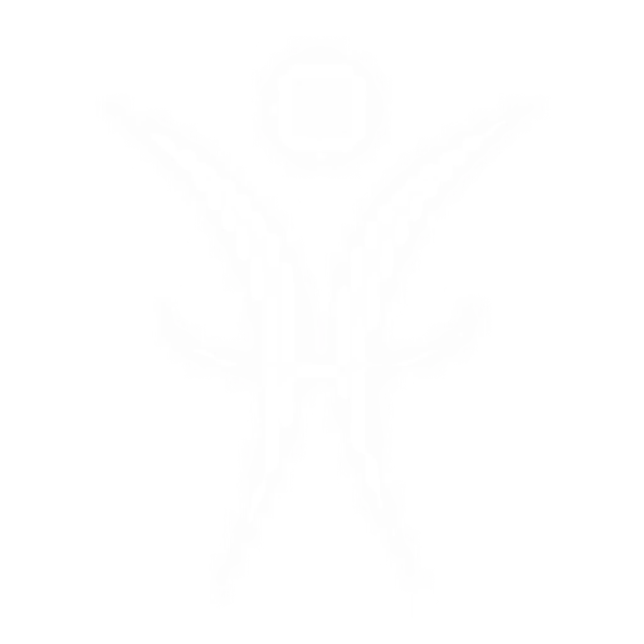 Holistic Pro Health Performance