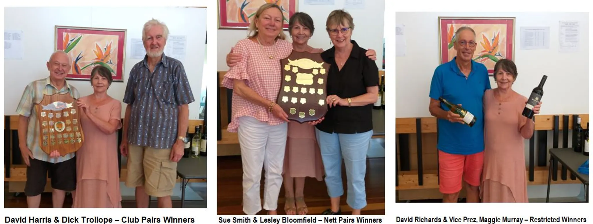 Sunshine Coast GNOT Grand Final