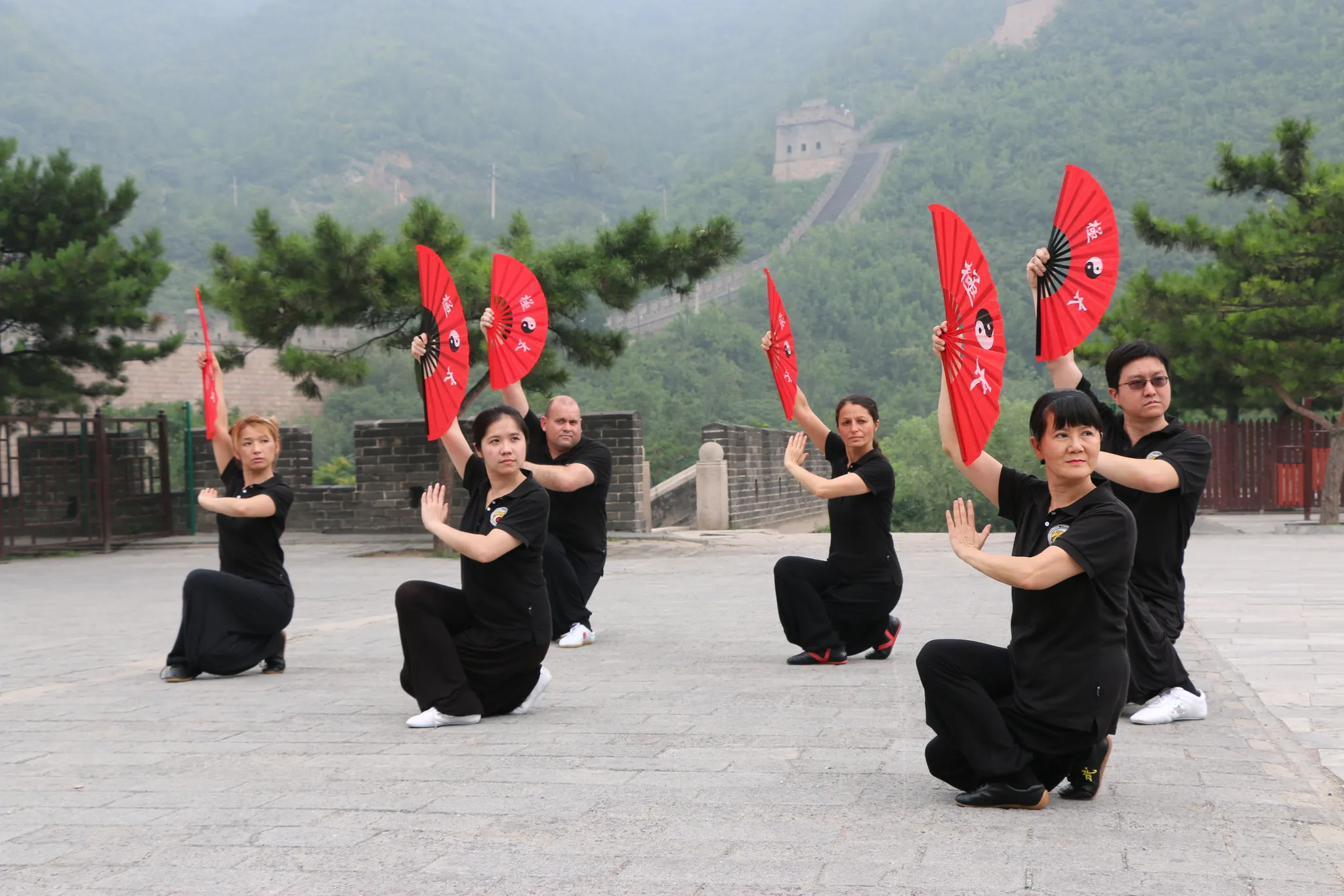 Yang Style Tai Chi Fan 28 Workshop