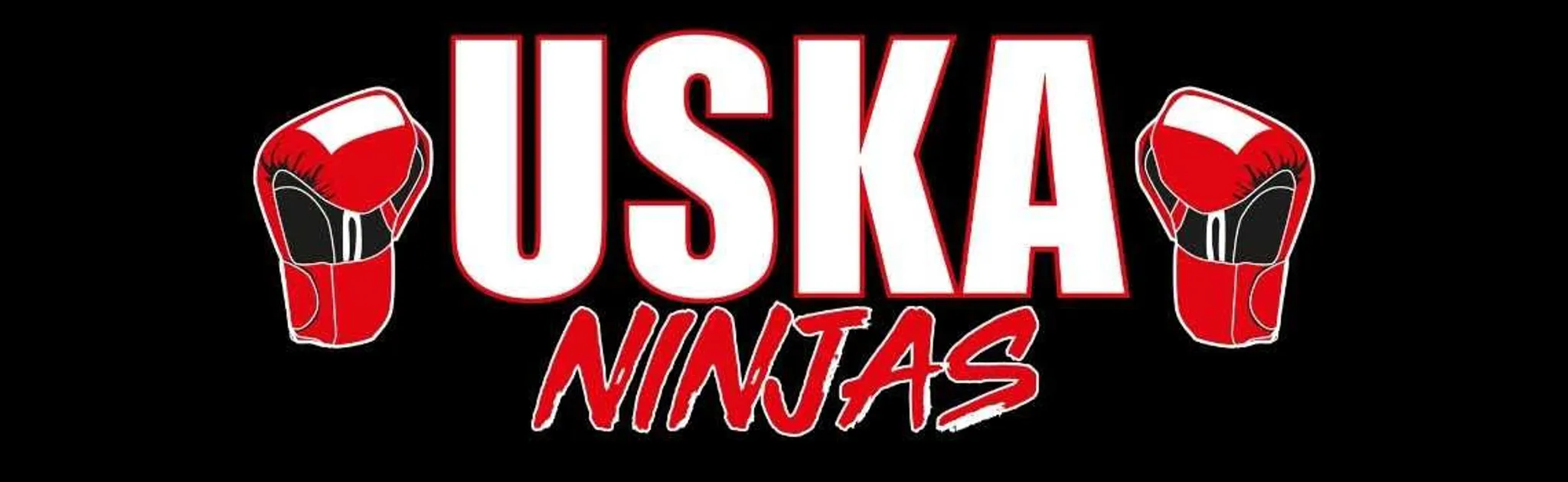 USKA kickboxing