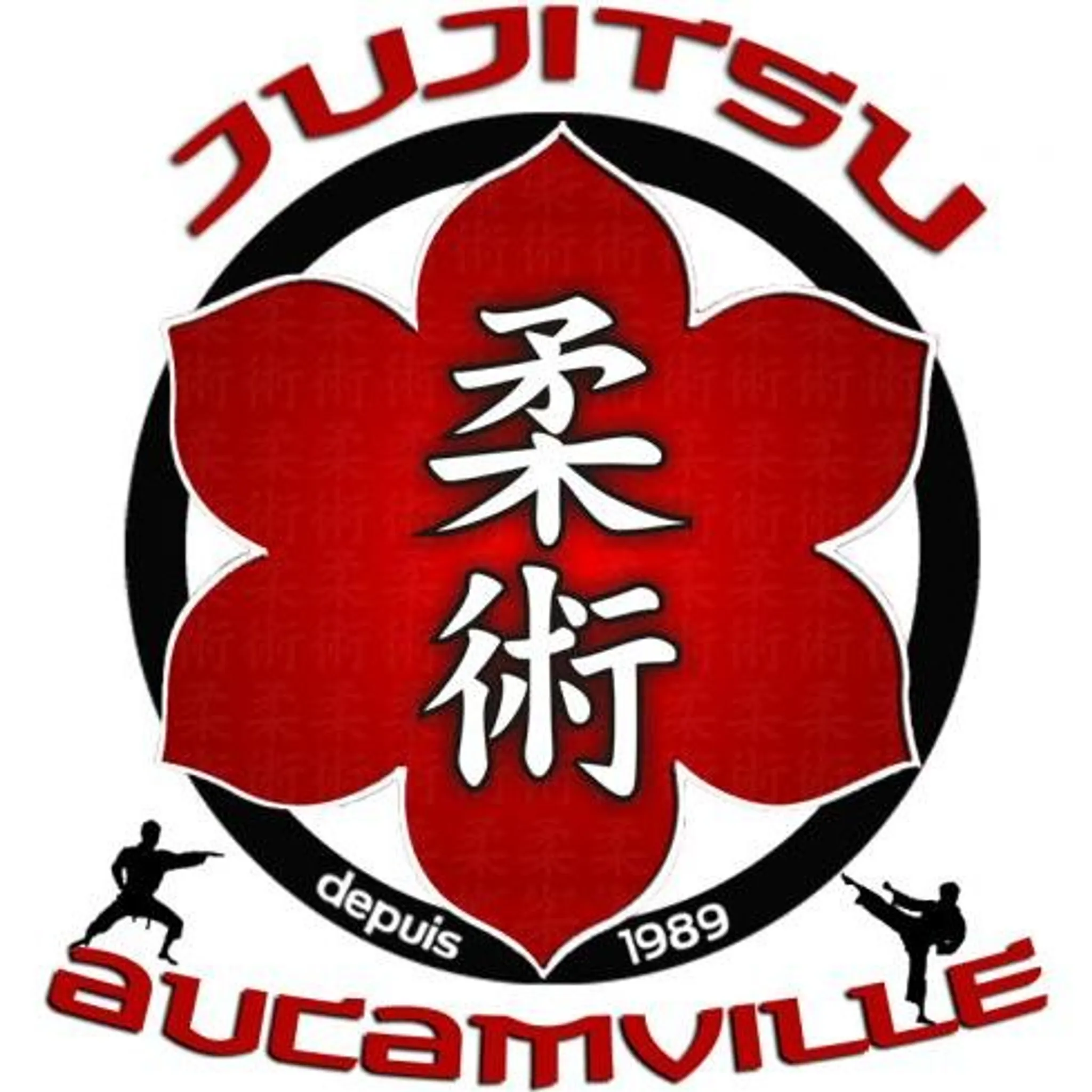 Jujitsu Aucamville