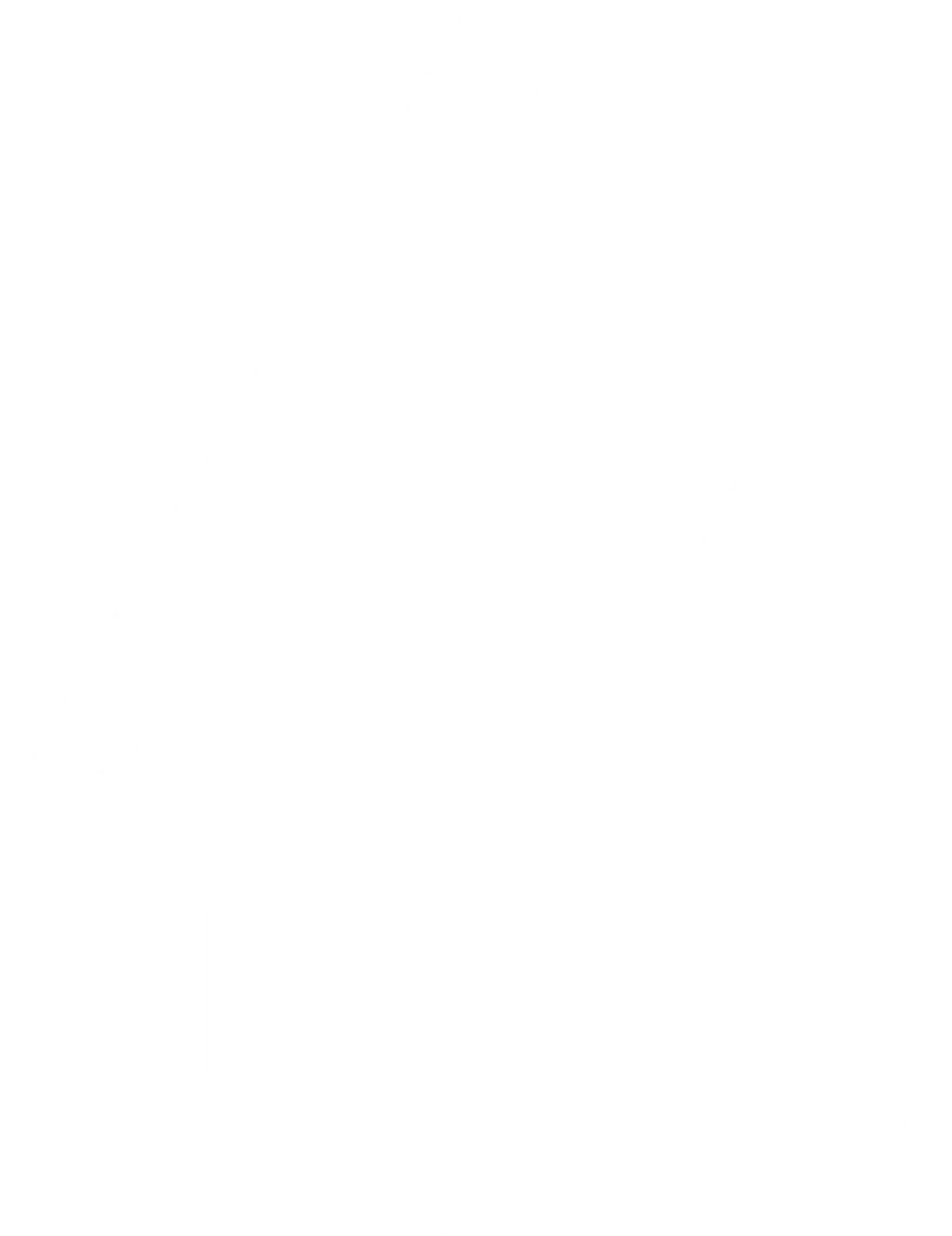 The Climbing Experience