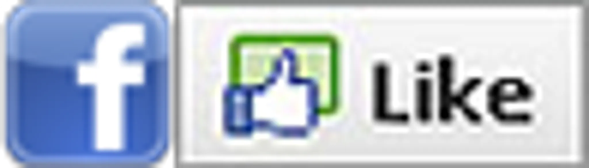 Lee Winkler's Surf School