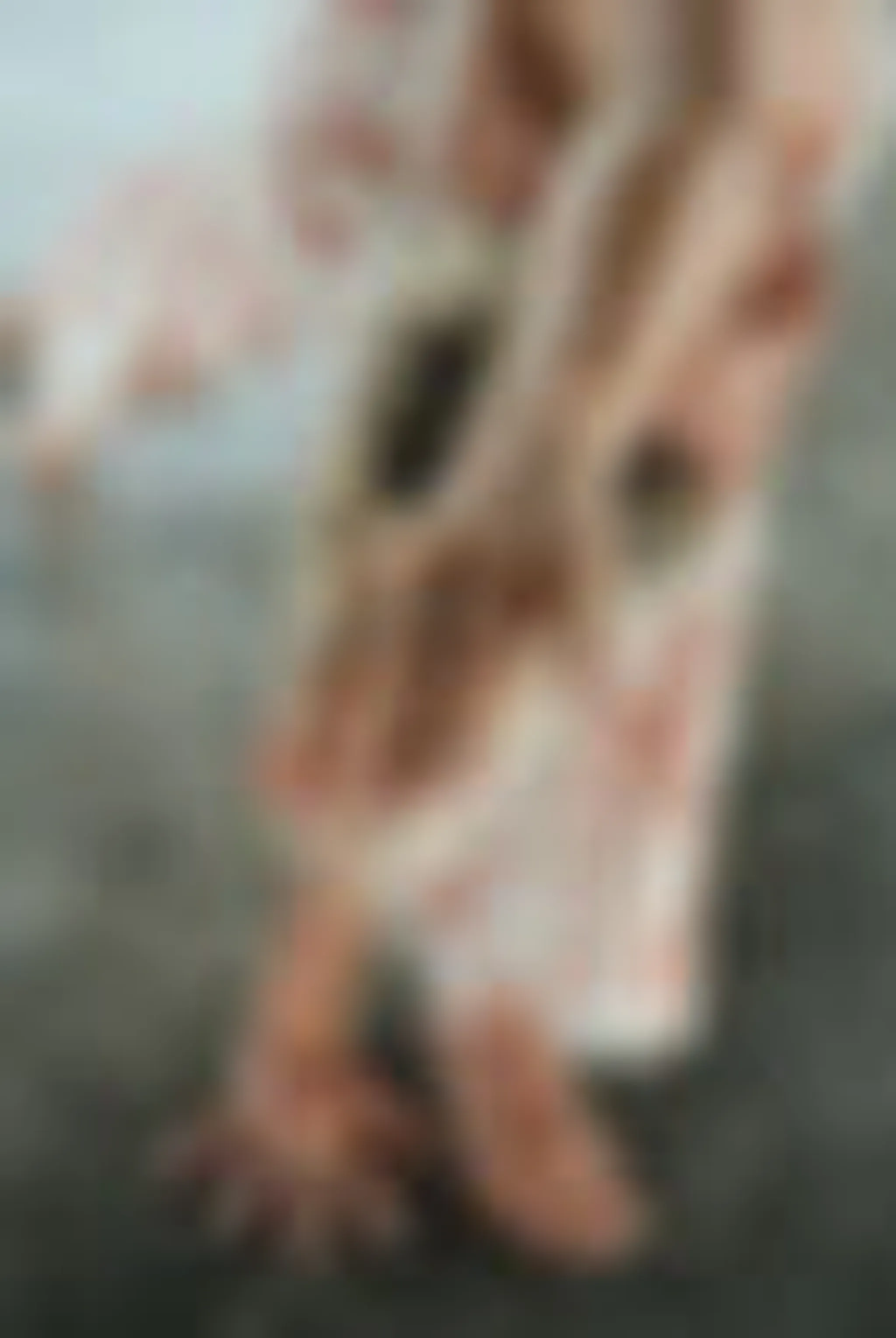 Yoga & Pilates with Tayler Hayes