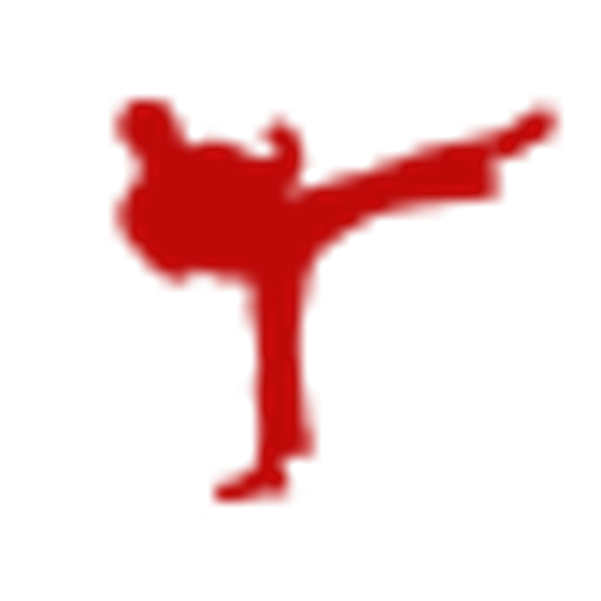 Golden Tiger School Of Kung Fu