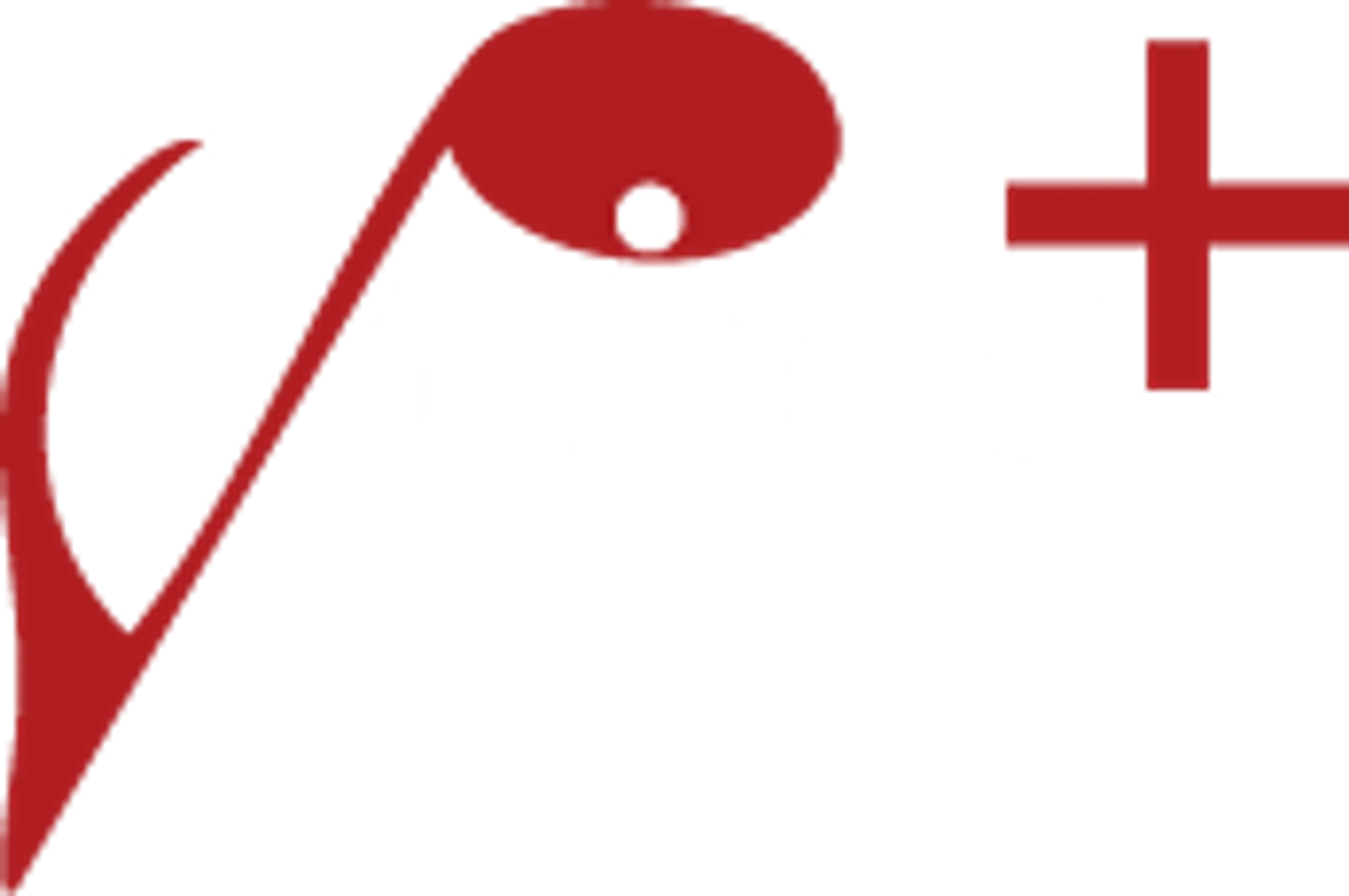 Voice-Plus Academy Of Arts