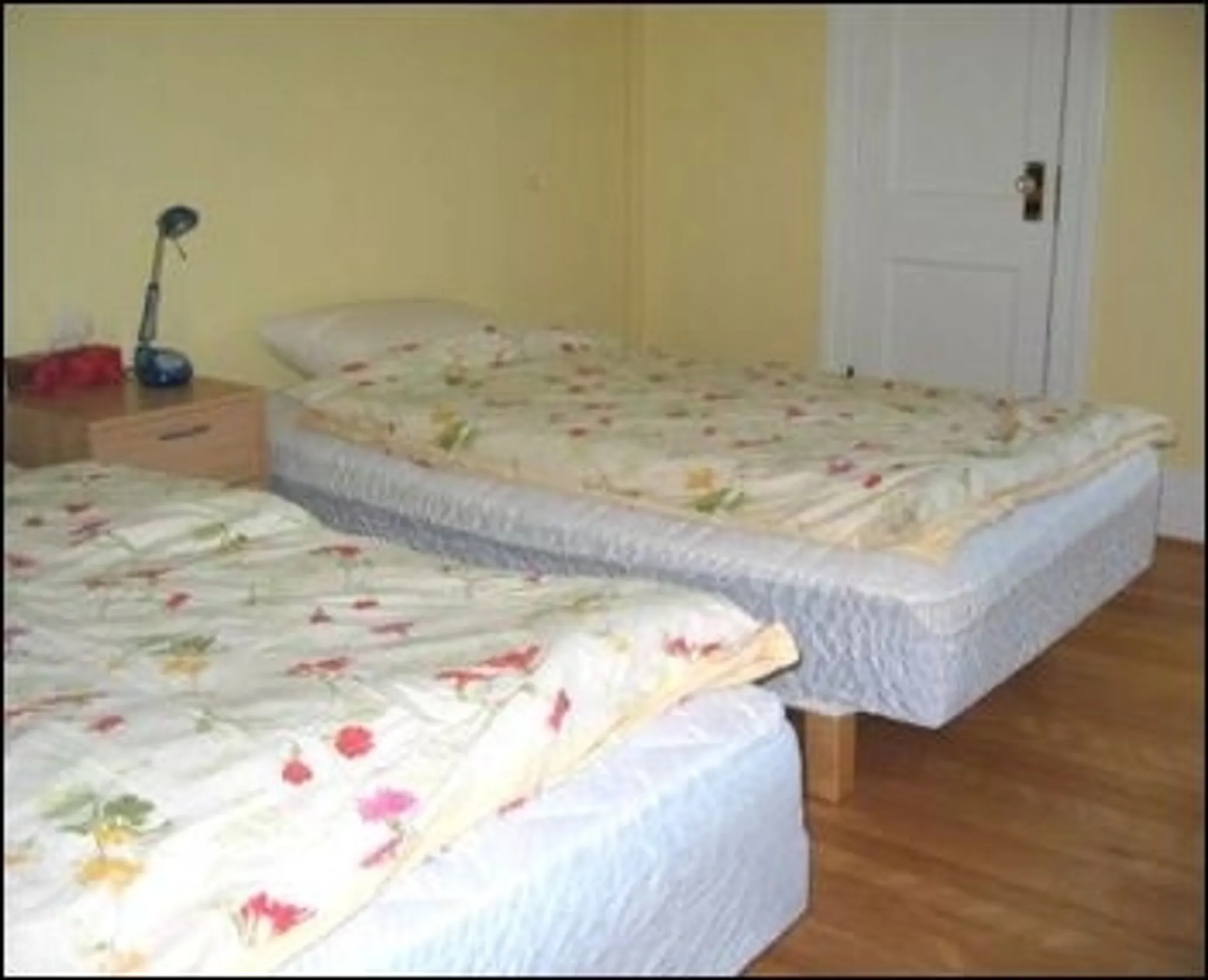 Blue Throat Maṇḍala of Practice Summer Retreat