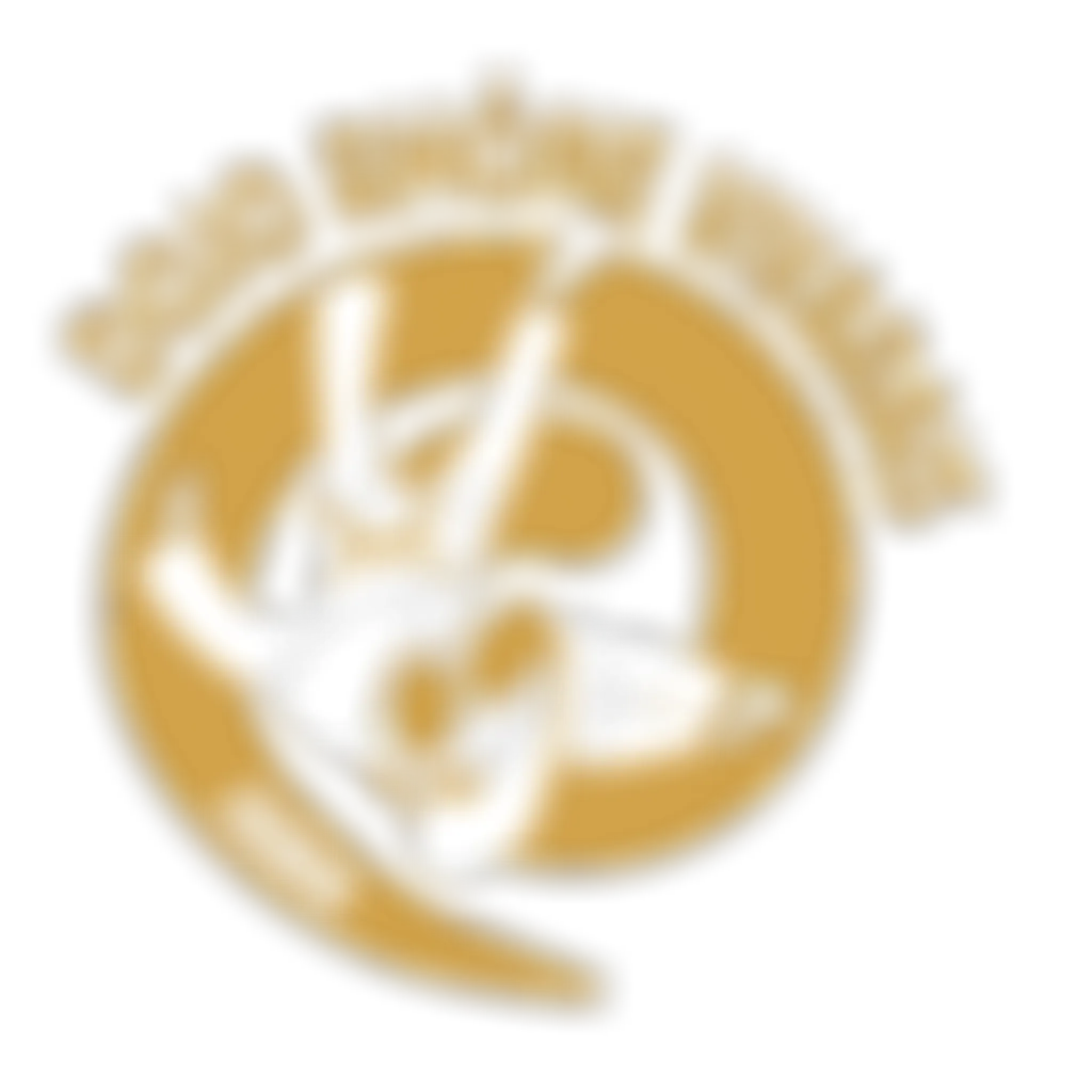 Judo Club Saint Maurice l'Exil