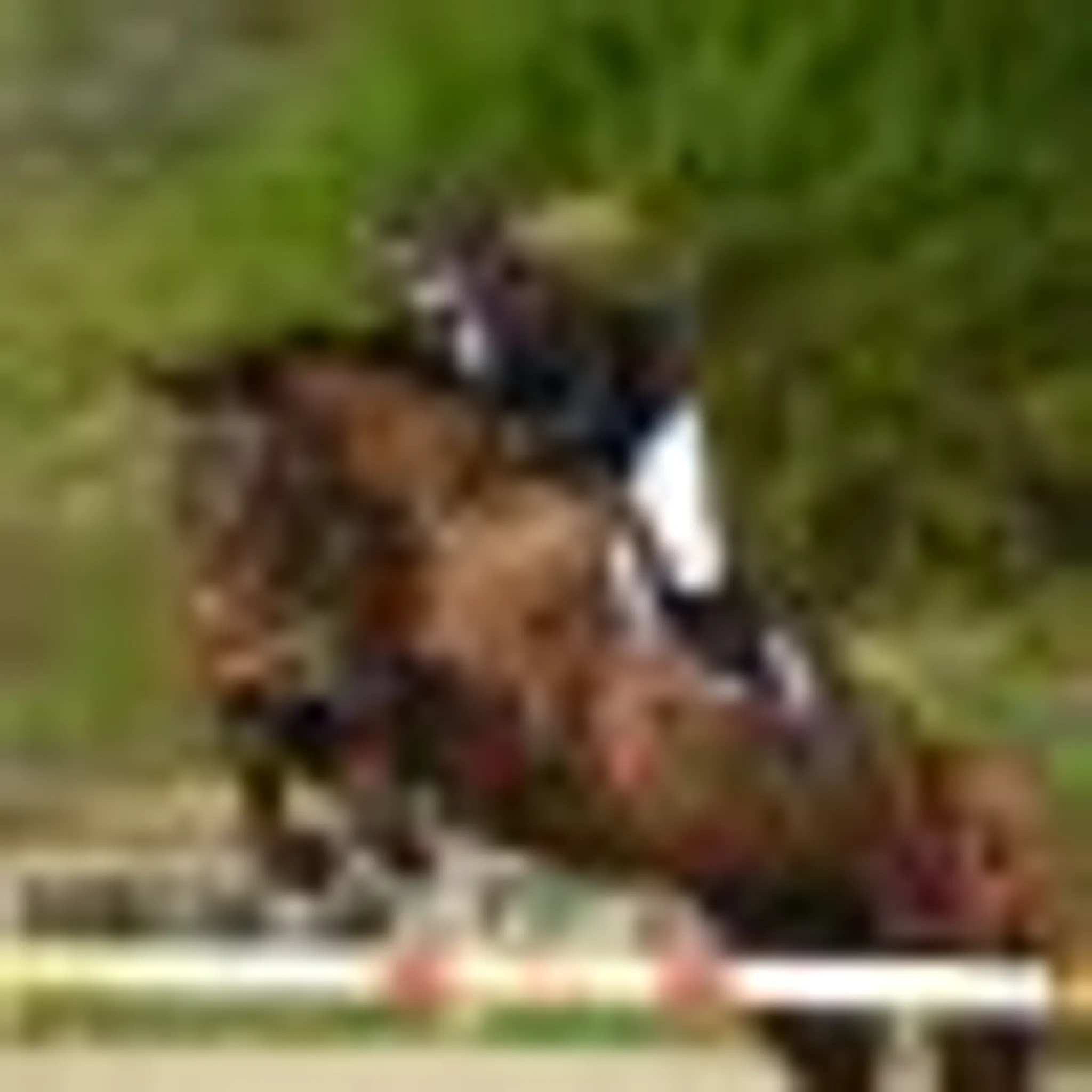 Equestrian Center Farella