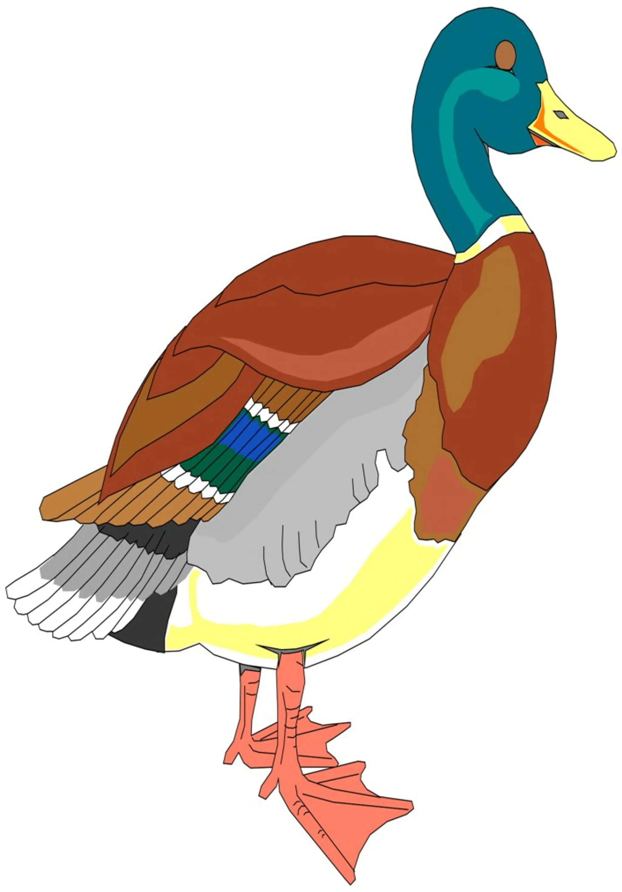 Singleton Cricket Club