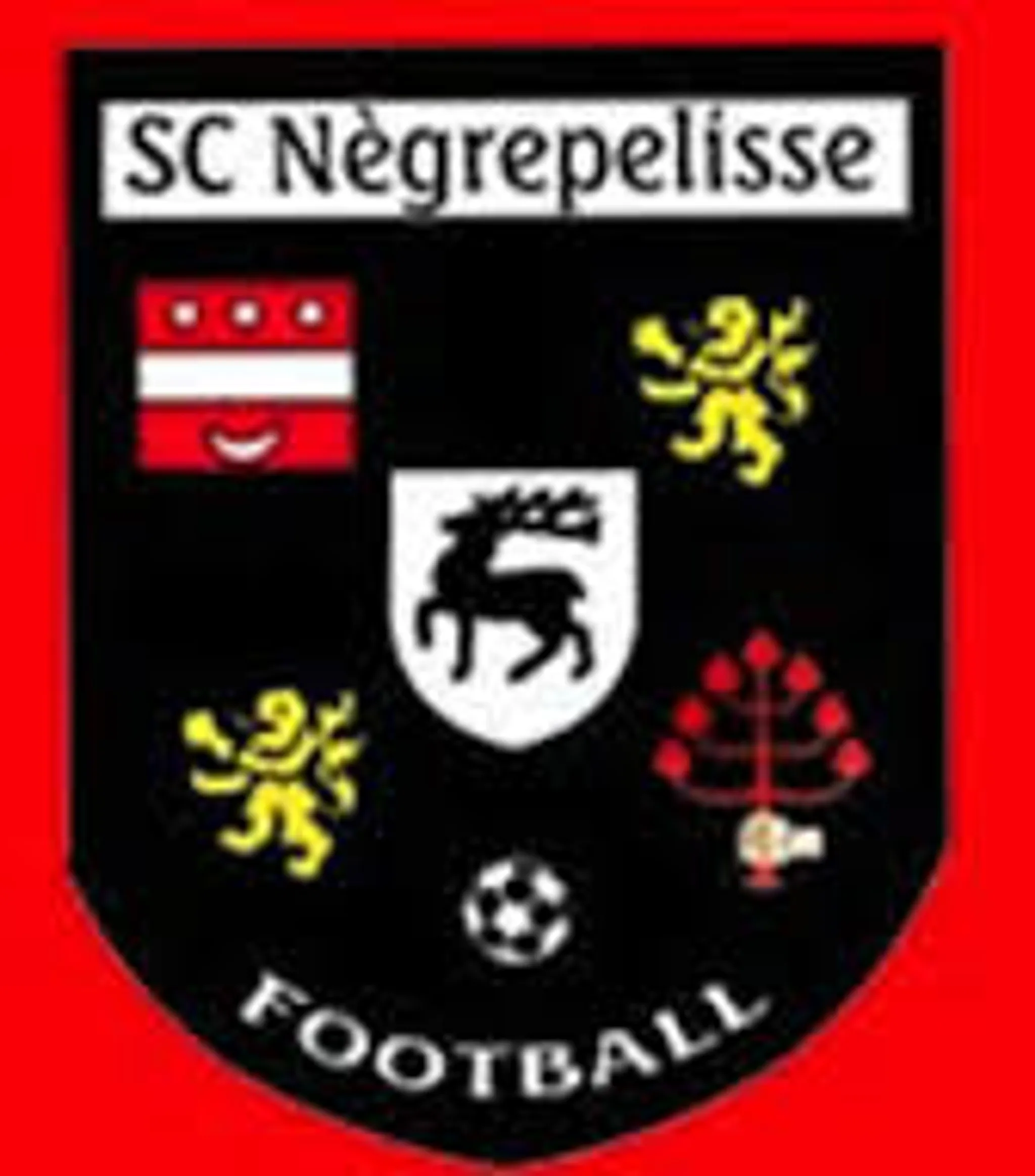 Piscine Municipale Negrepelisse