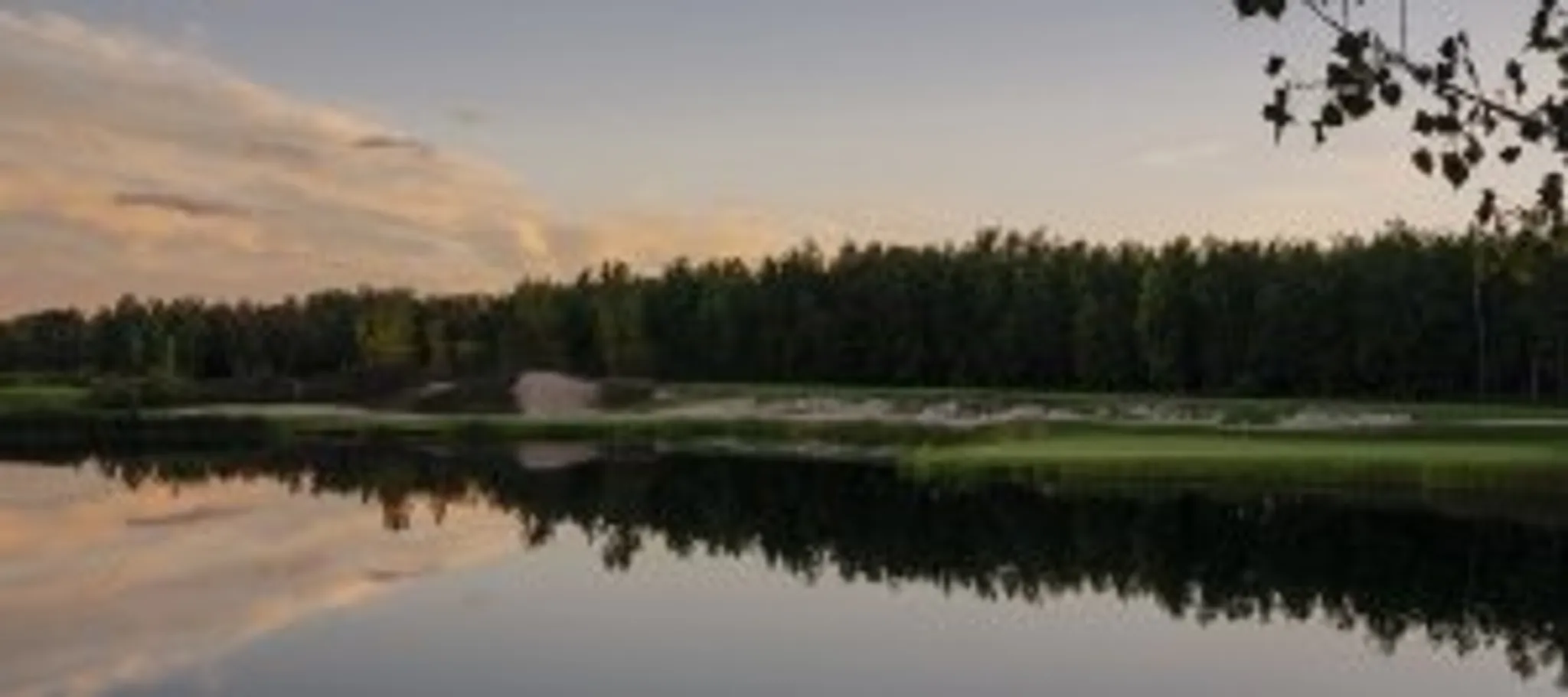 HyLife Ladies Night Golf League