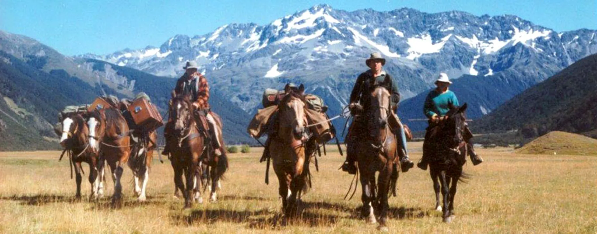 Alpine Horse Safaris