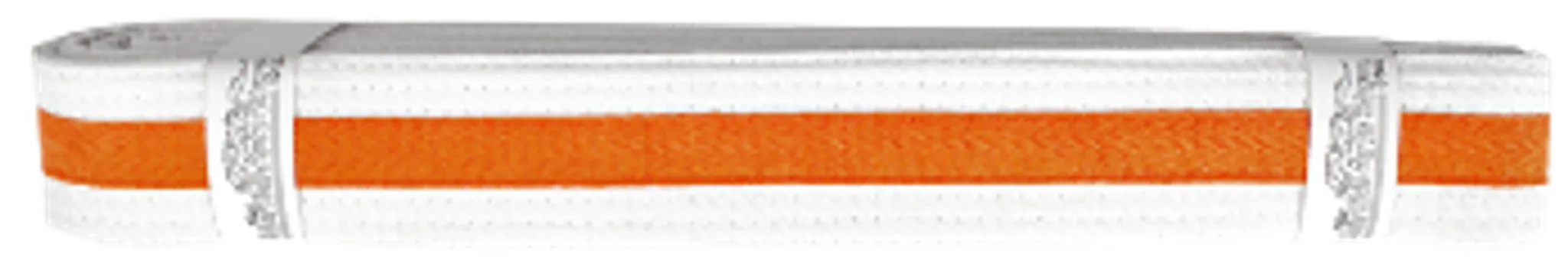 The Folkestone Karate and Martial Arts Club