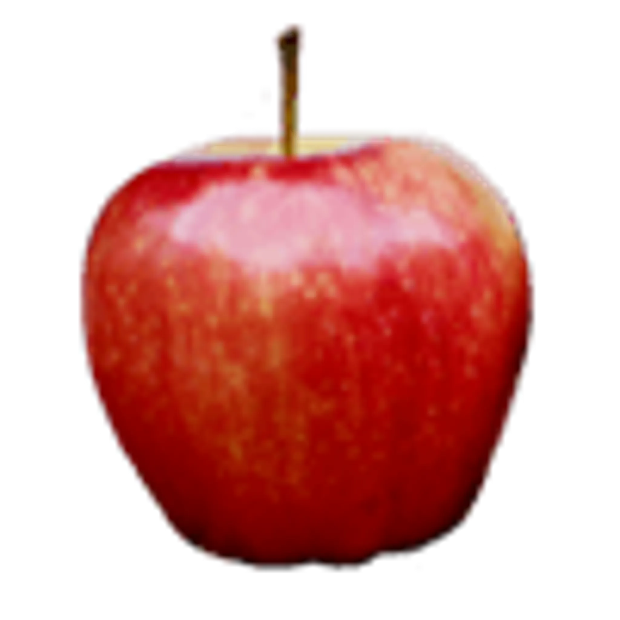 Debbie Sebire Personal Training