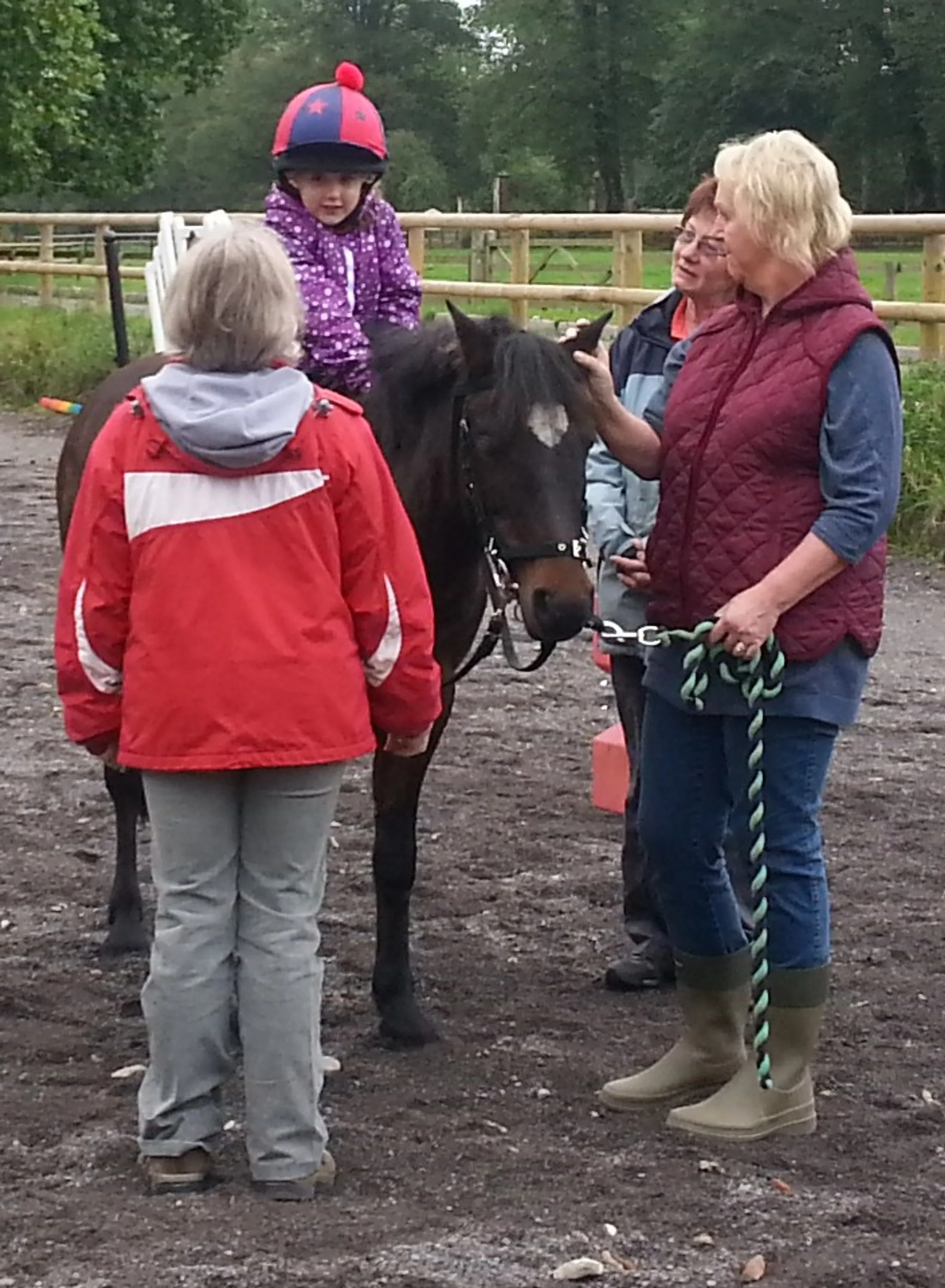 Chard & District Riding for the Disabled Group