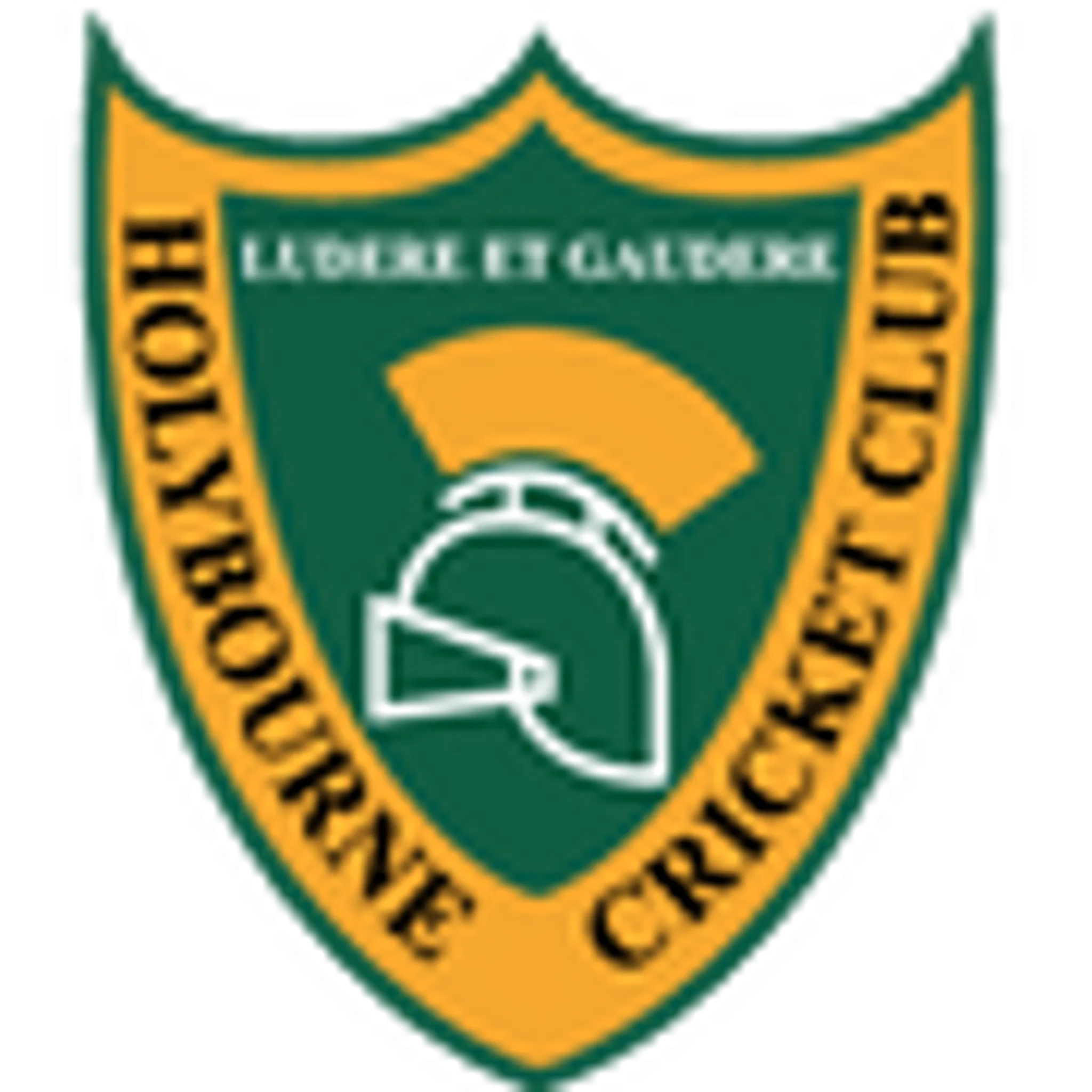 Holybourne Cricket Club