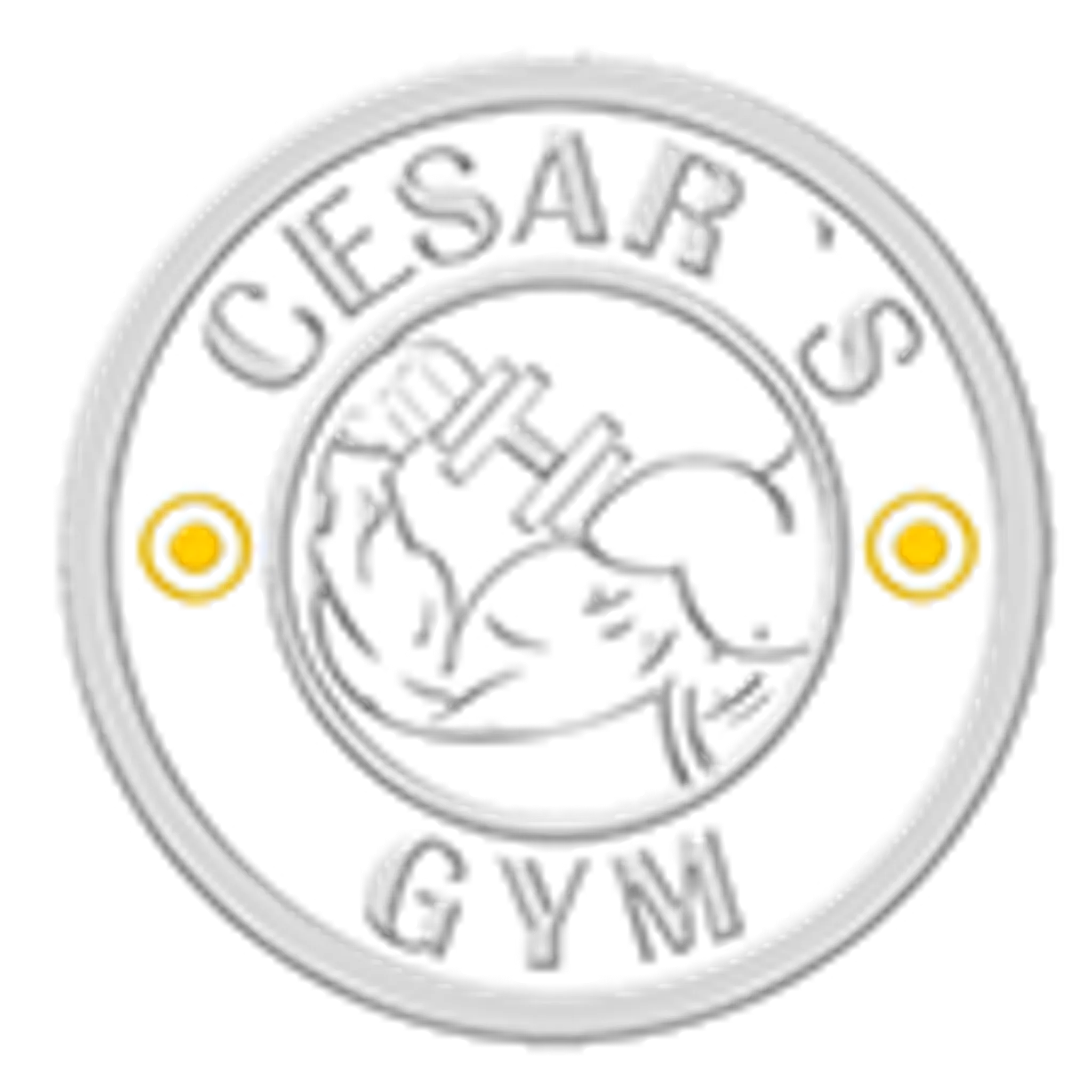 Cesar's Gym Platinum Ojo de Agua
