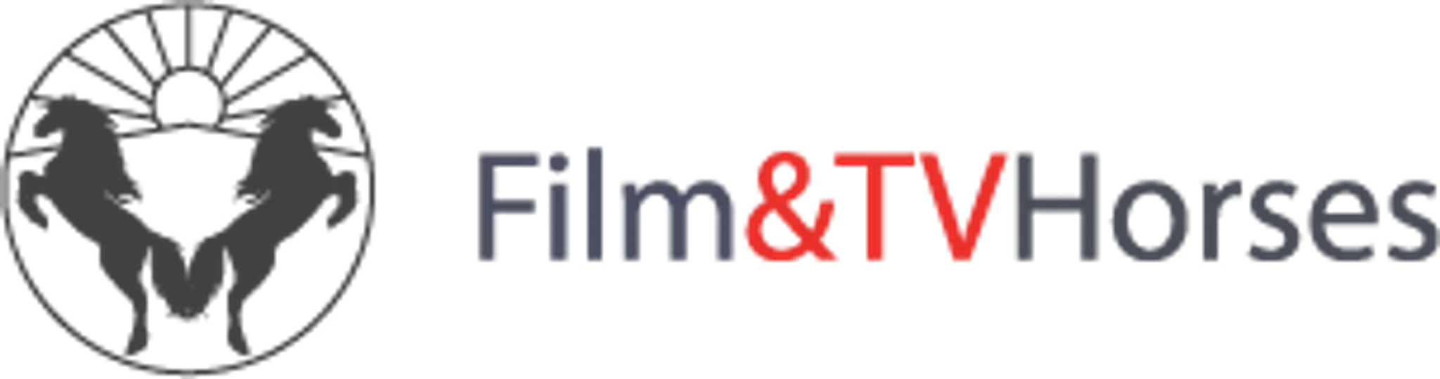 Filming and TV Horses