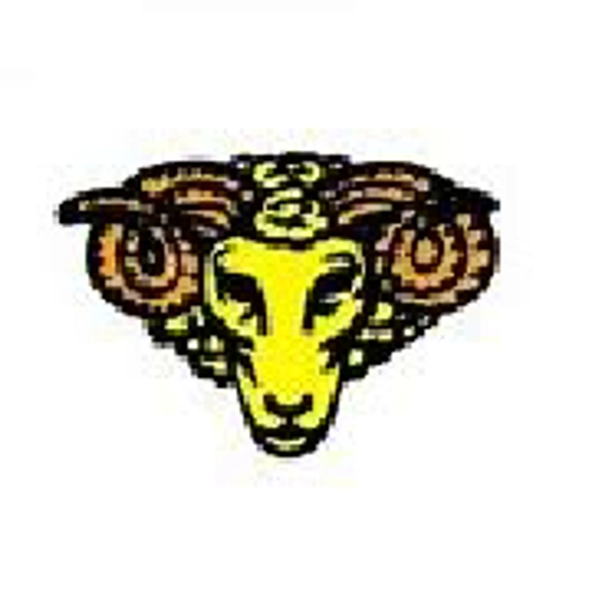 Potton Town Cricket Club