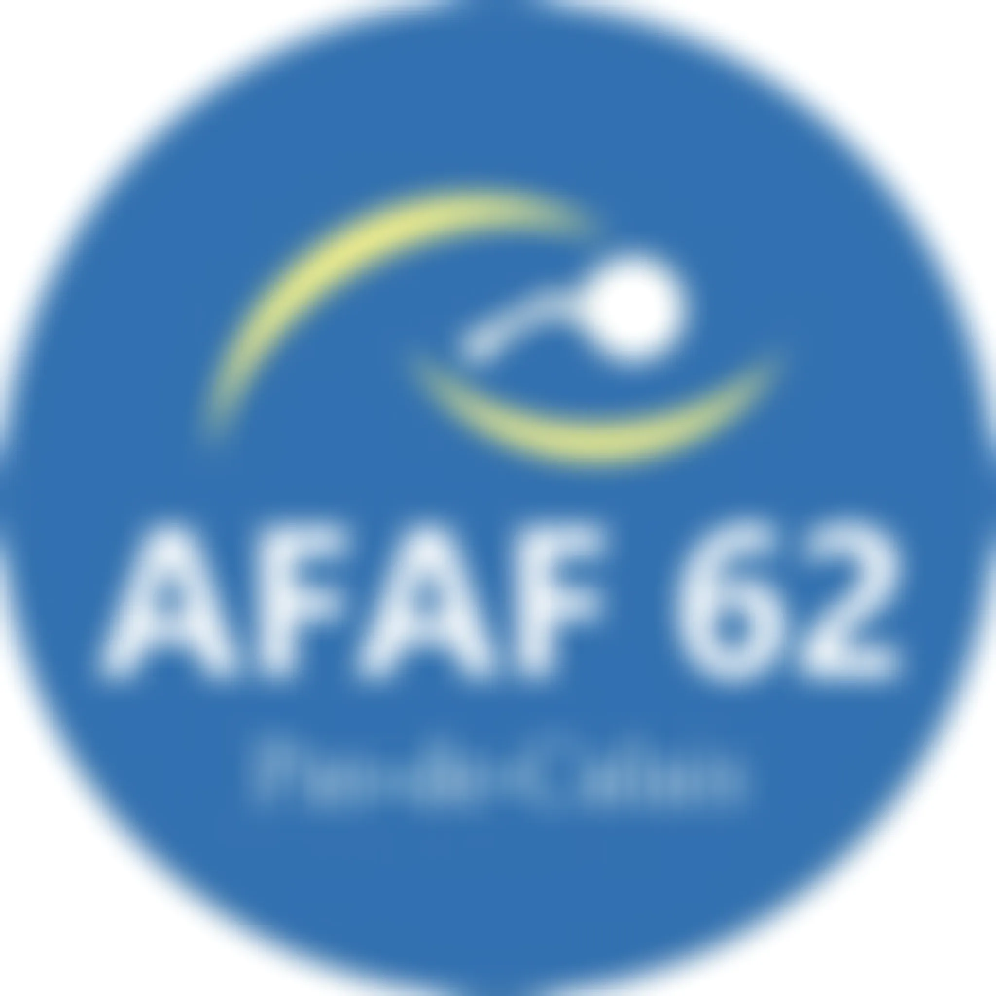 Amicale Française des Arbitres de Football