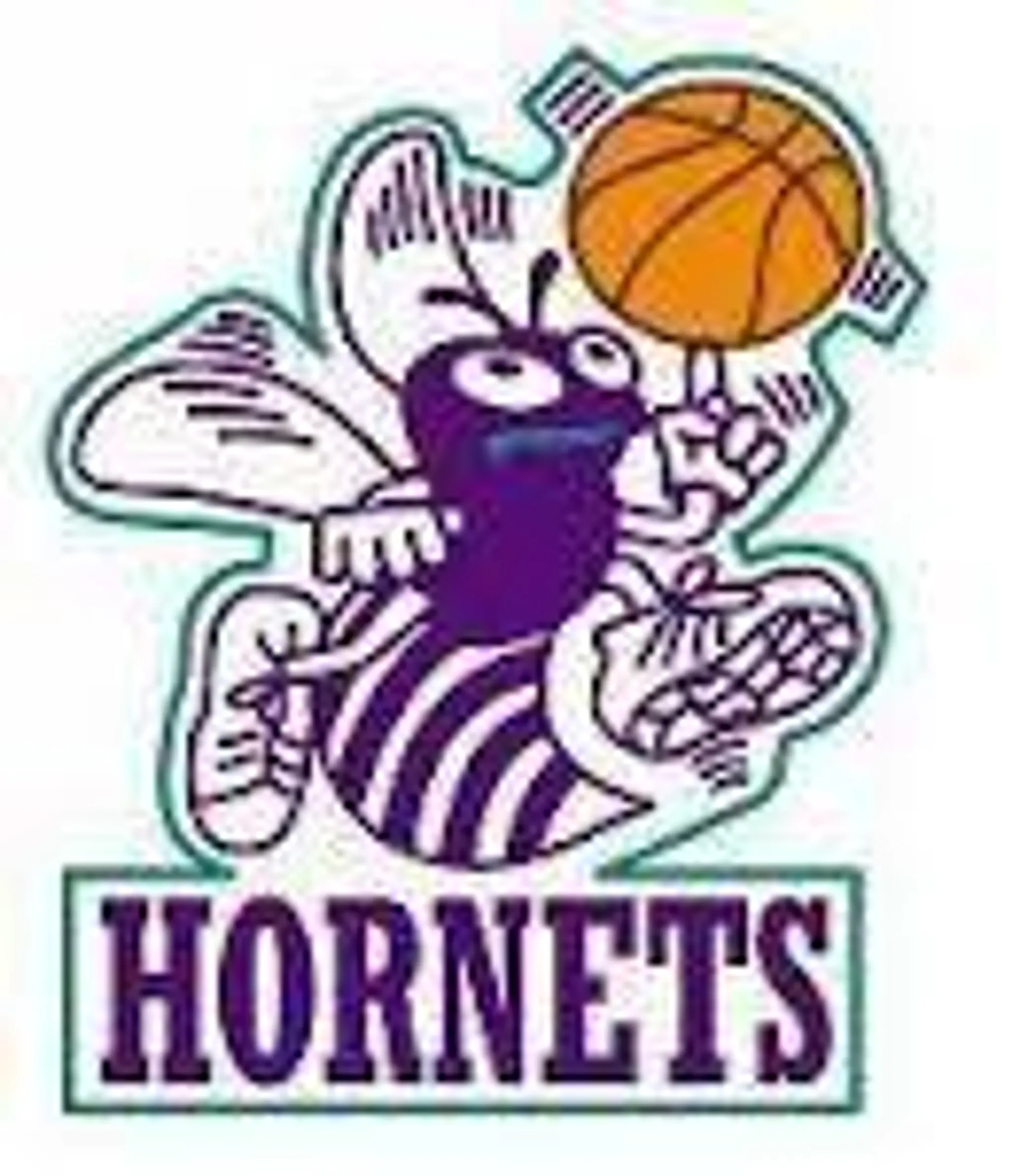 Healesville Hornets Basketball Club 