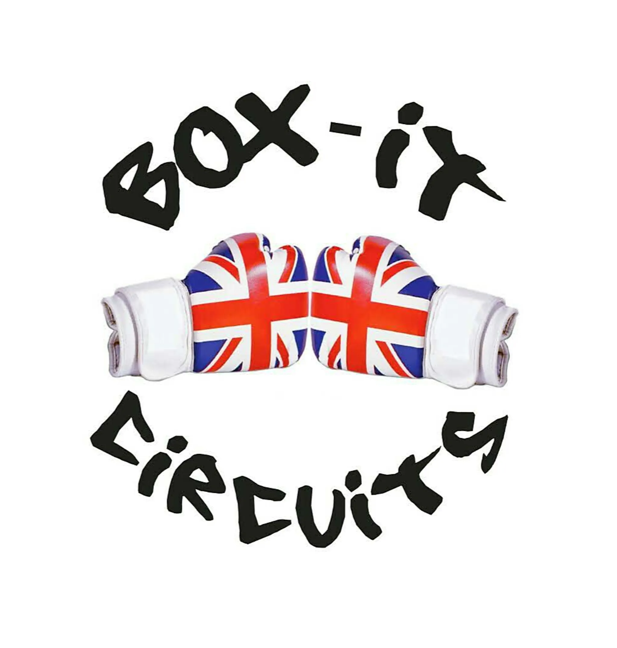 Technical Boxing Session