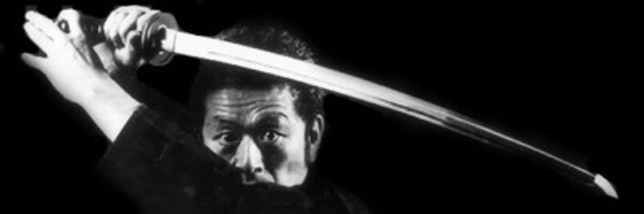 Bujinkan Jissen Dojos 