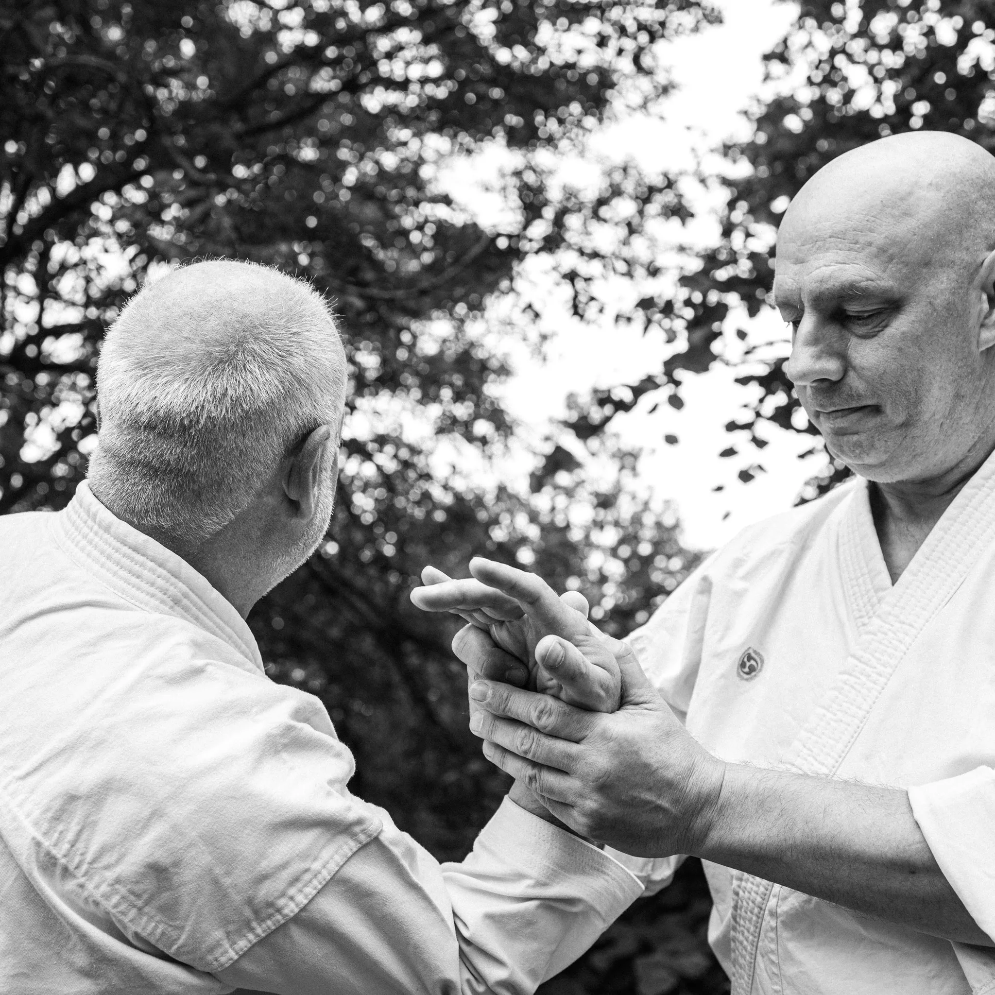 Don Came Karate For Life