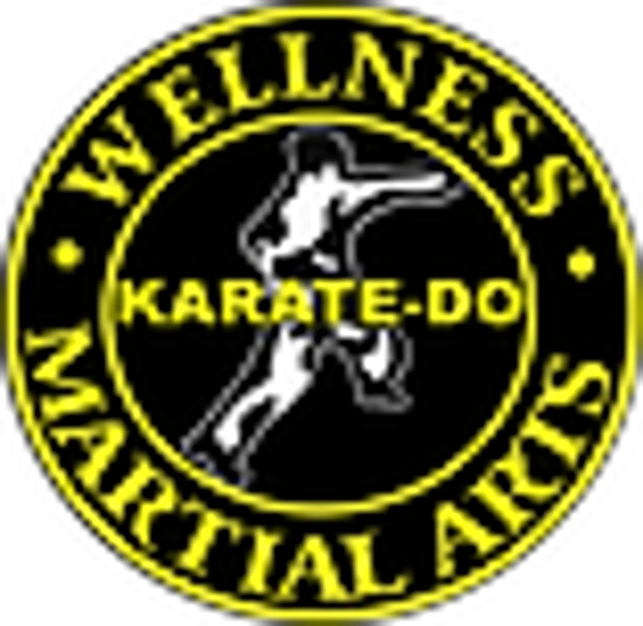 Wellness Martial Arts