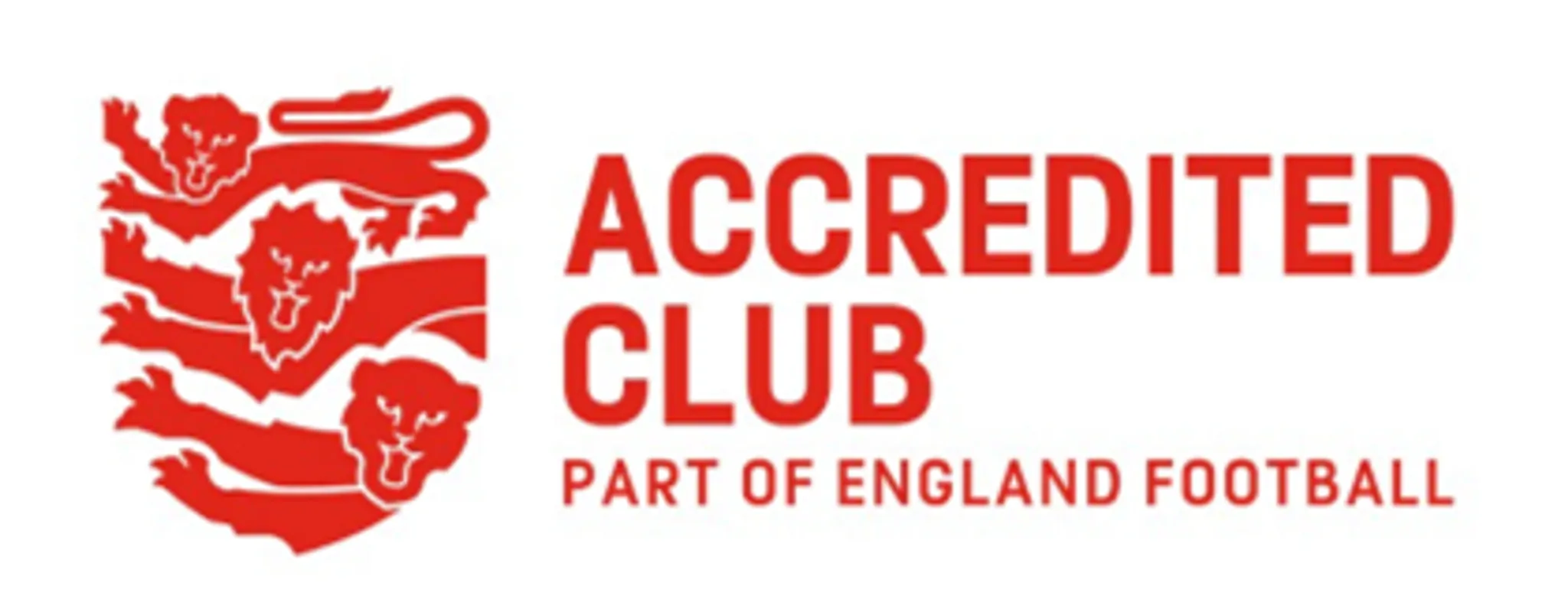 Rottingdean Village Football Club