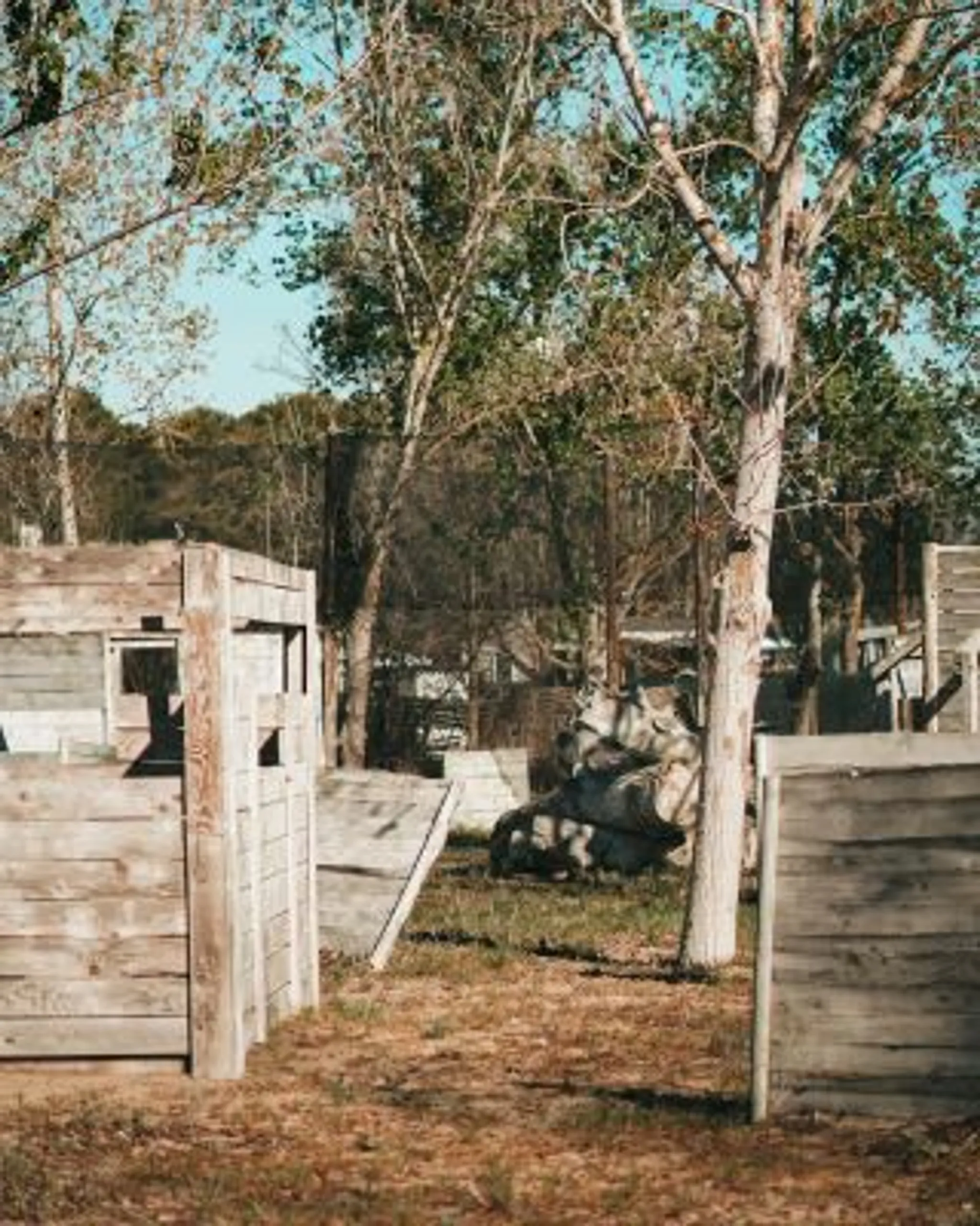 L'EMBUSCADE éco-paintball