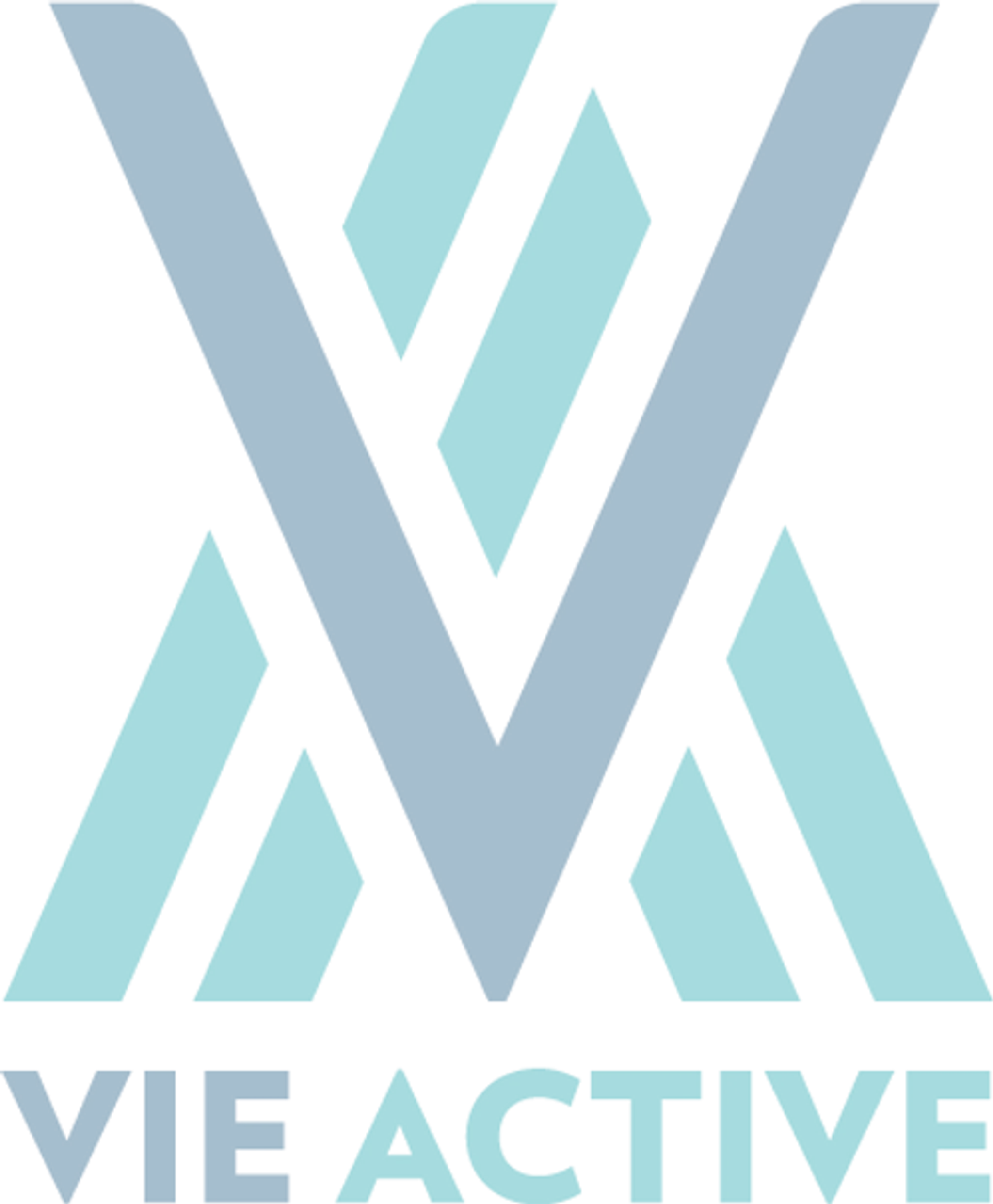 Vie Active - Laurence Bonneau-Charland, Kinsiologue