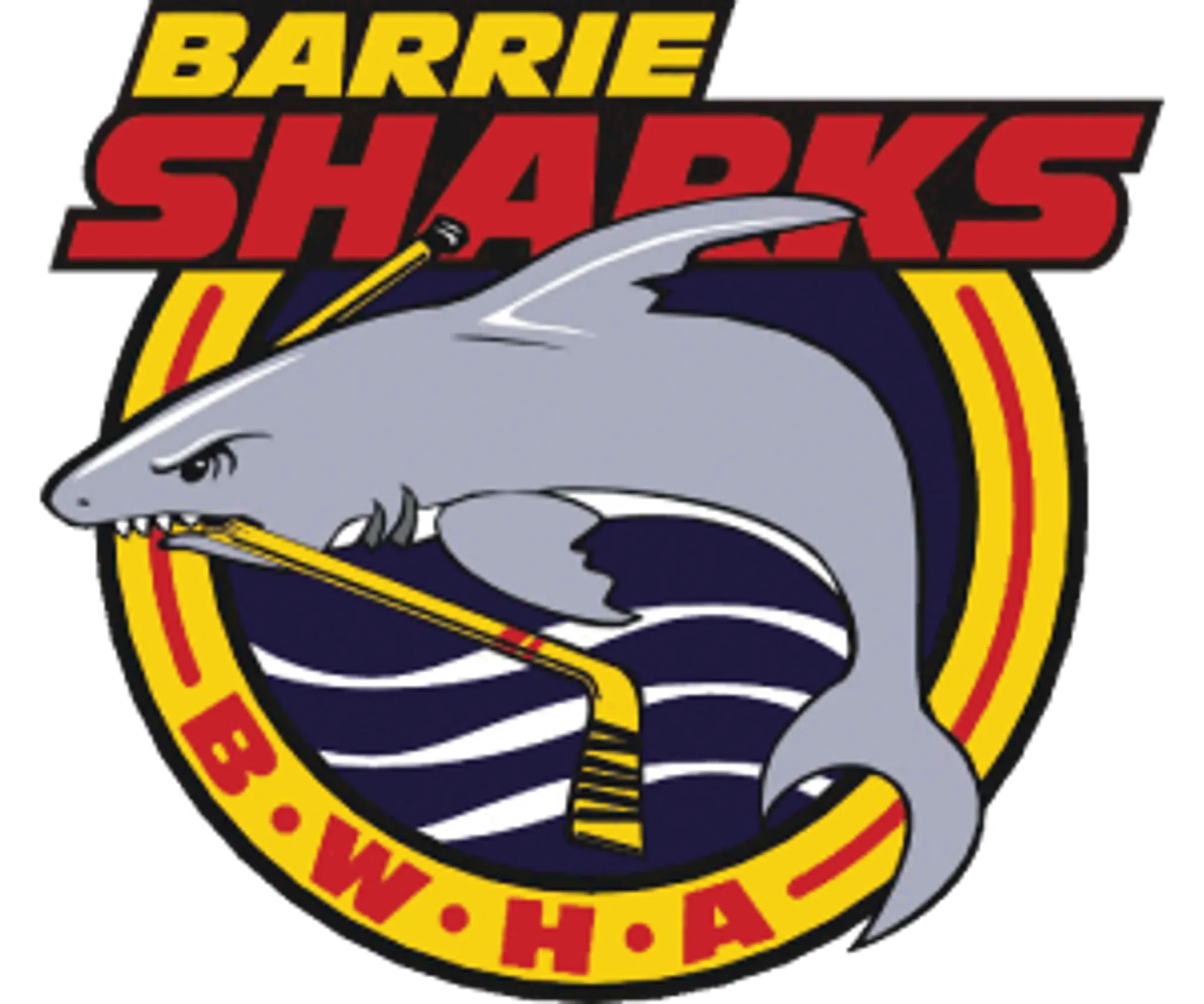 Barrie Women's Hockey Association
