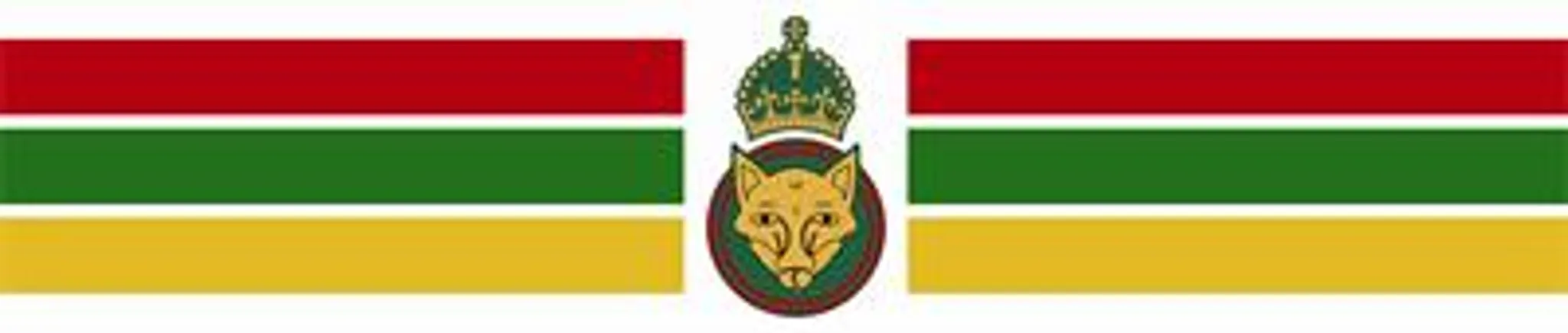 Ibstock Town Cricket Club