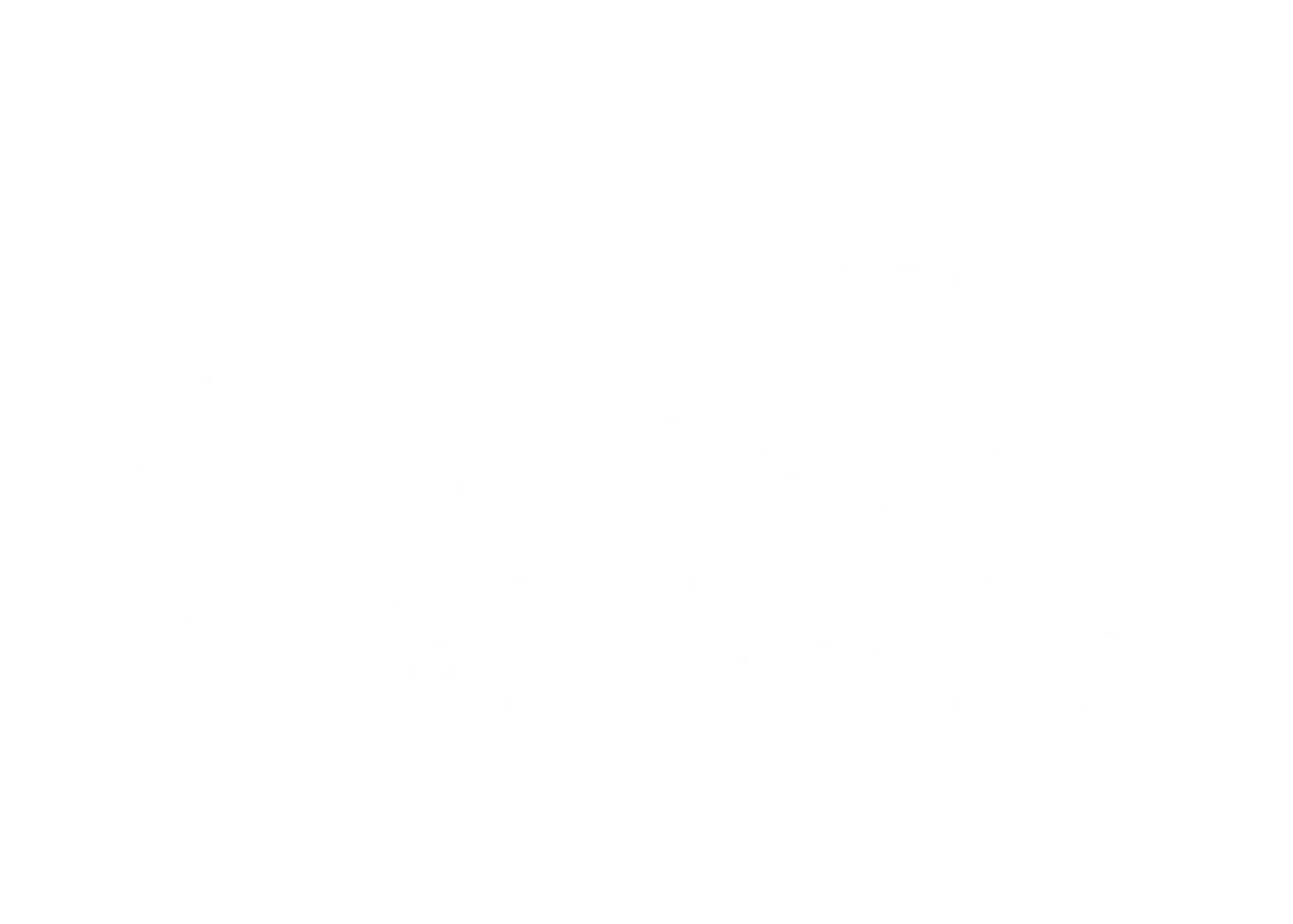 Tuidale Stables - Uretiti Beach horse treks