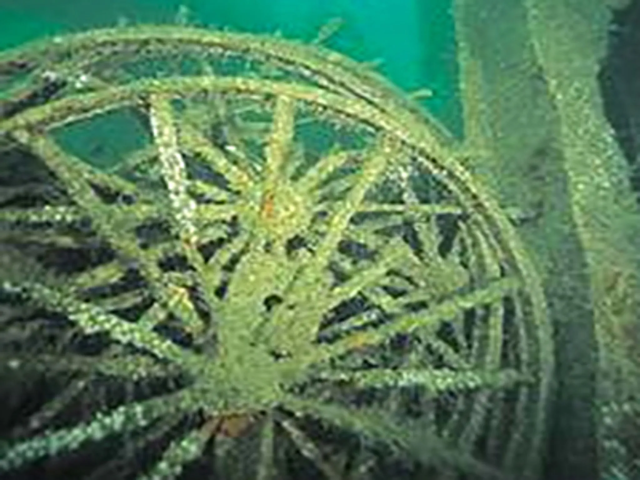 Plymouth Boat Charters