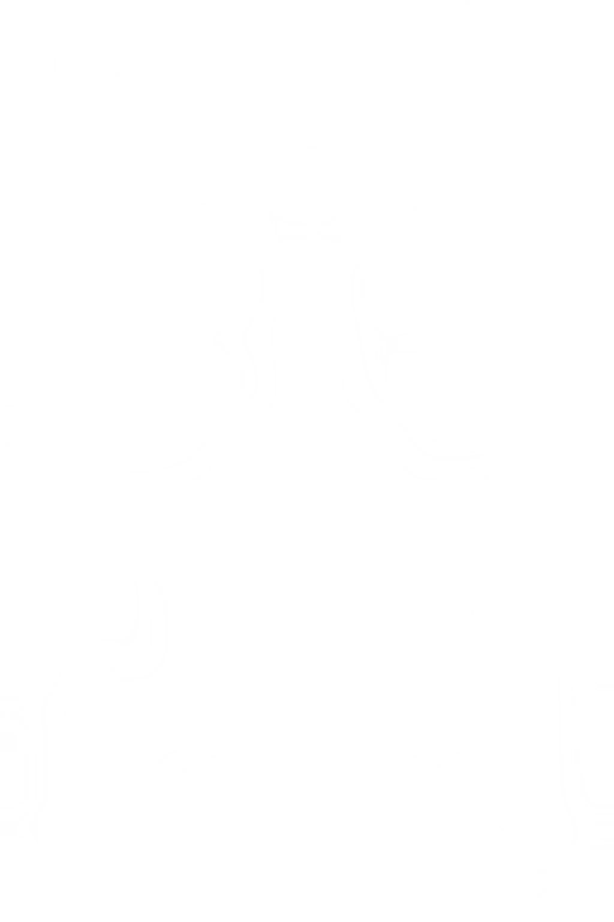 Bush Getaway Quad Bike (ATV) Tours